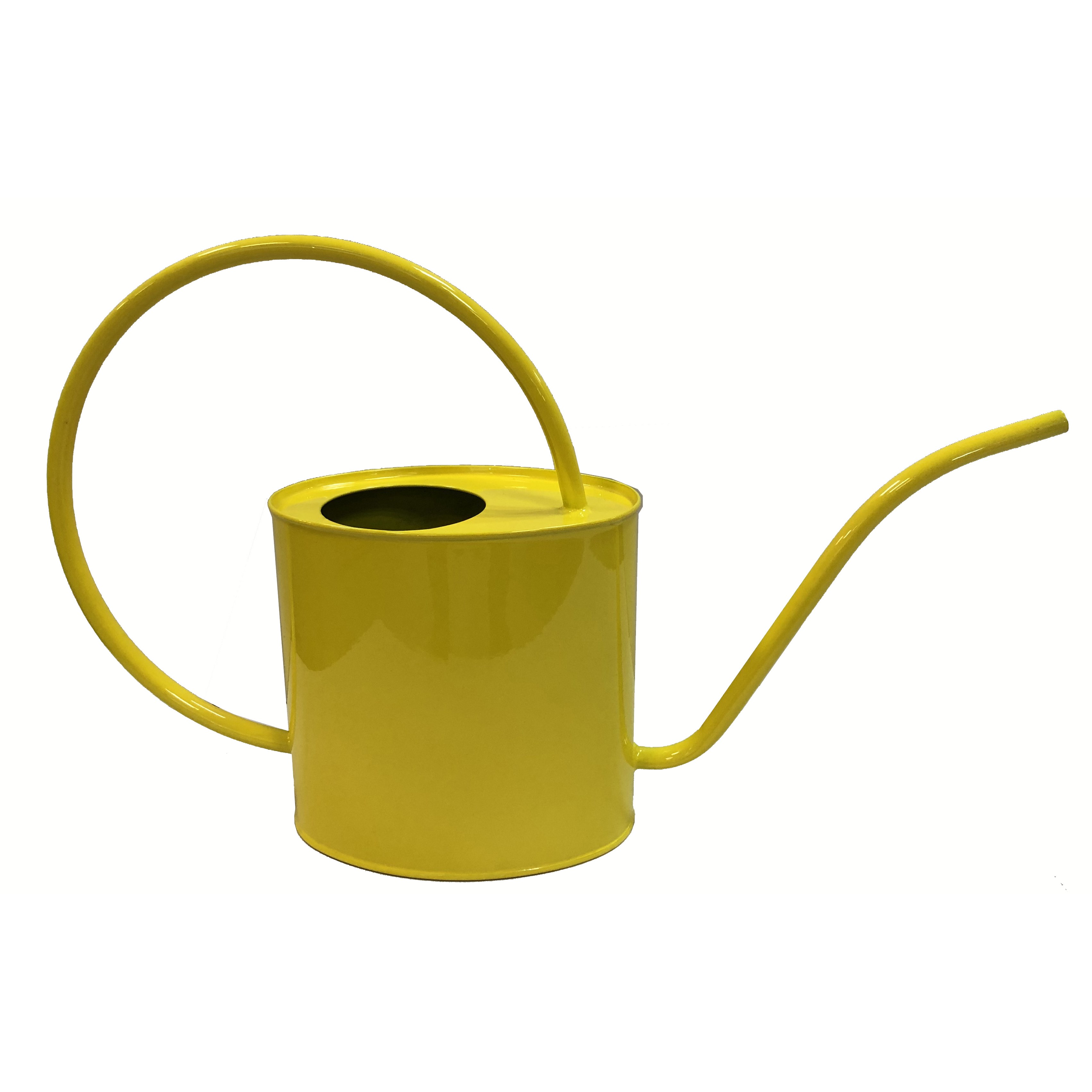 Gardener Select 2L Oval Watering Can Yellow L16.9"xW4.3"xH9.8" Indoor — priced per each; minimum 6; multiples of 6