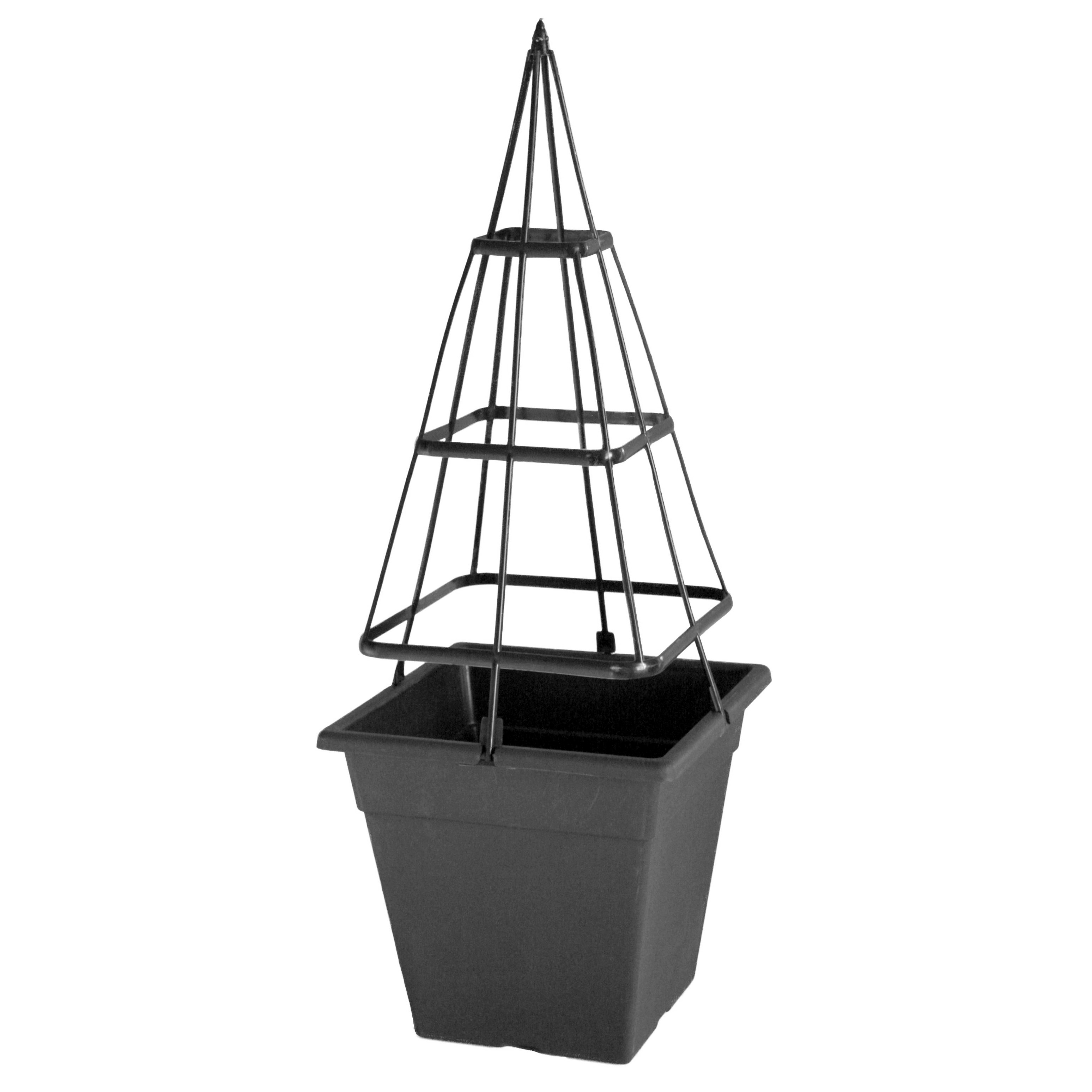 Grower Select 10.00 Katie212 w/ 19" Cage Black — Case of 40