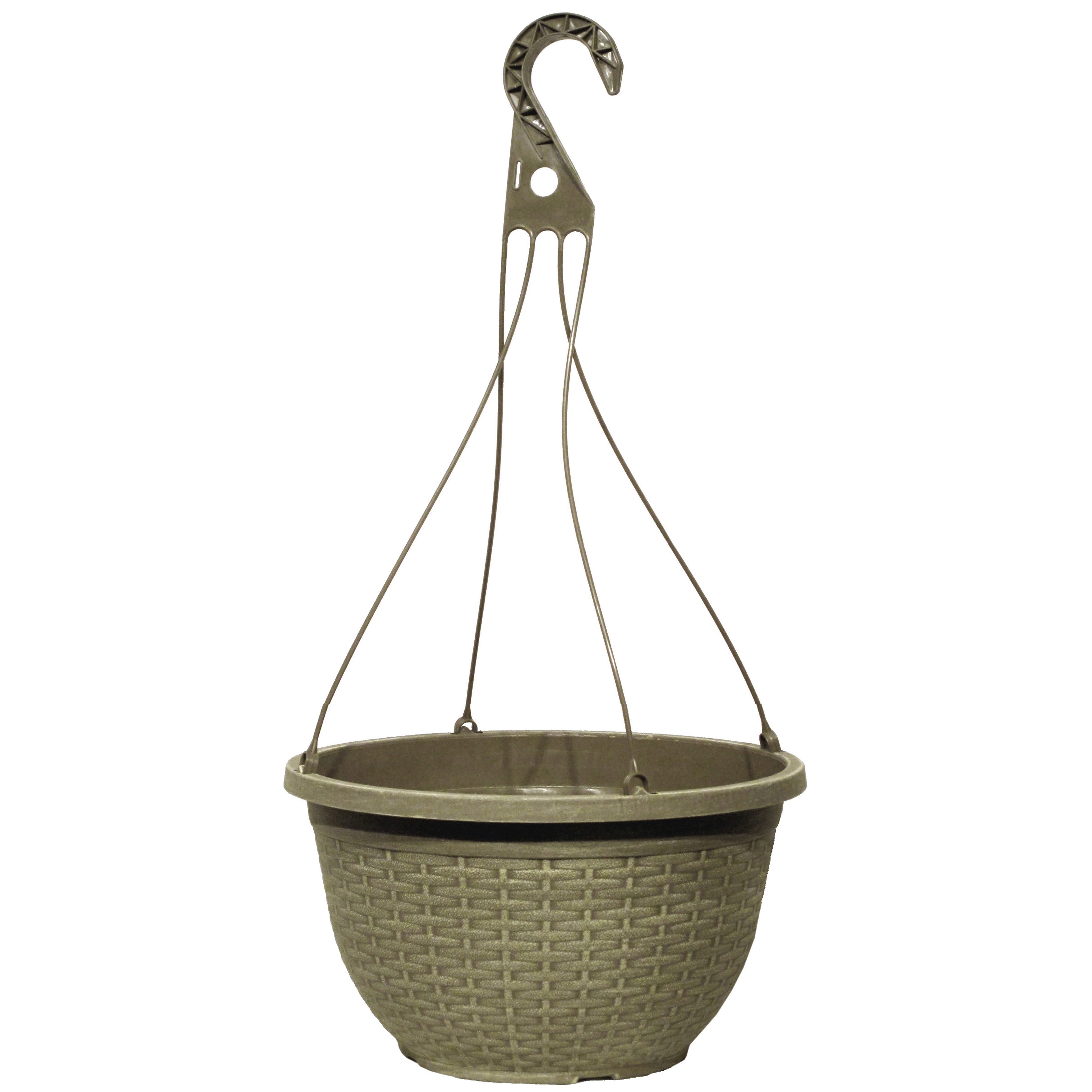 Grower Select 12.00 Boxwood Hanging Basket ACP Aged Cappuccino with Hanger — Case of 50