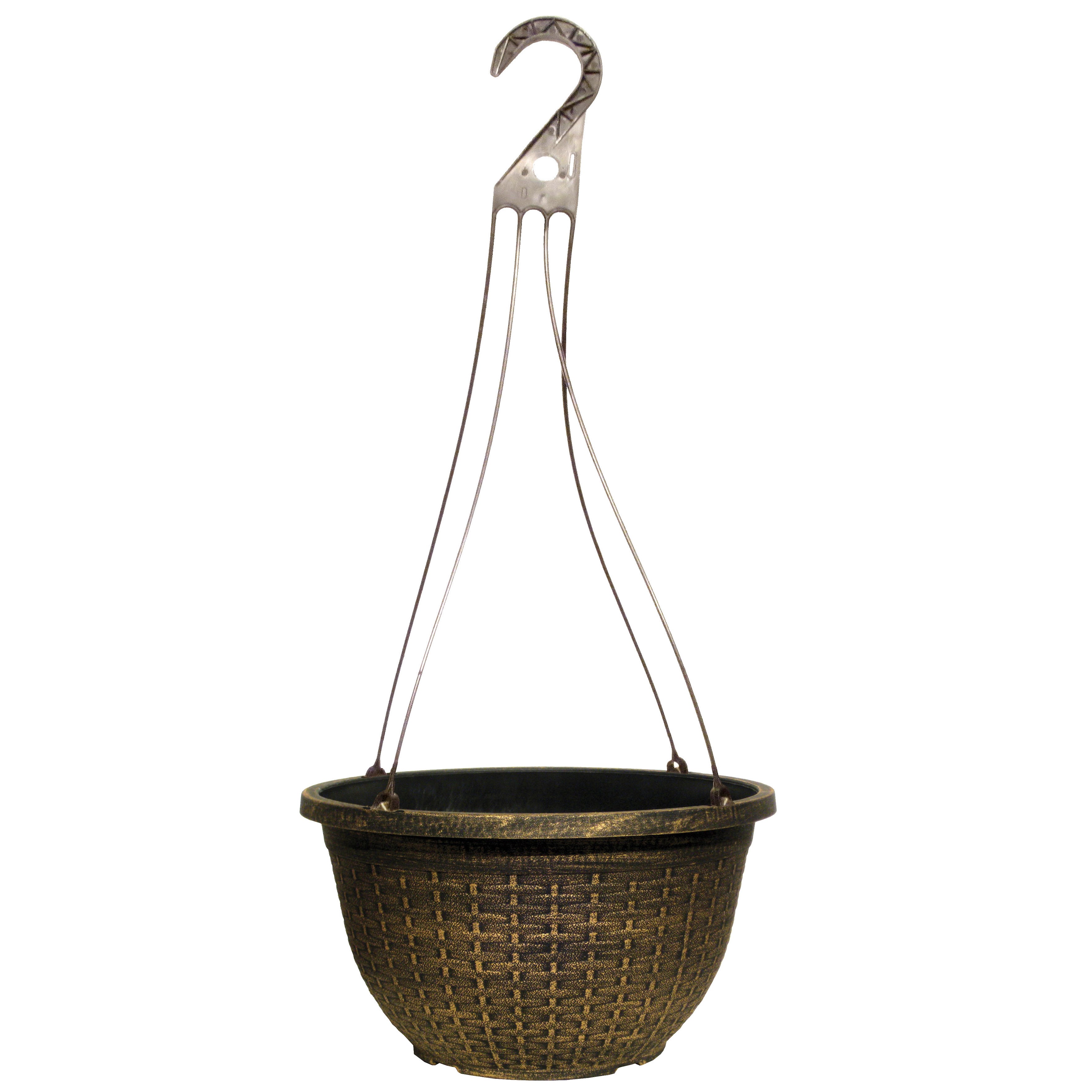 Grower Select 12.00 Boxwood Hanging Basket Mahogany with Hanger — Case of 50