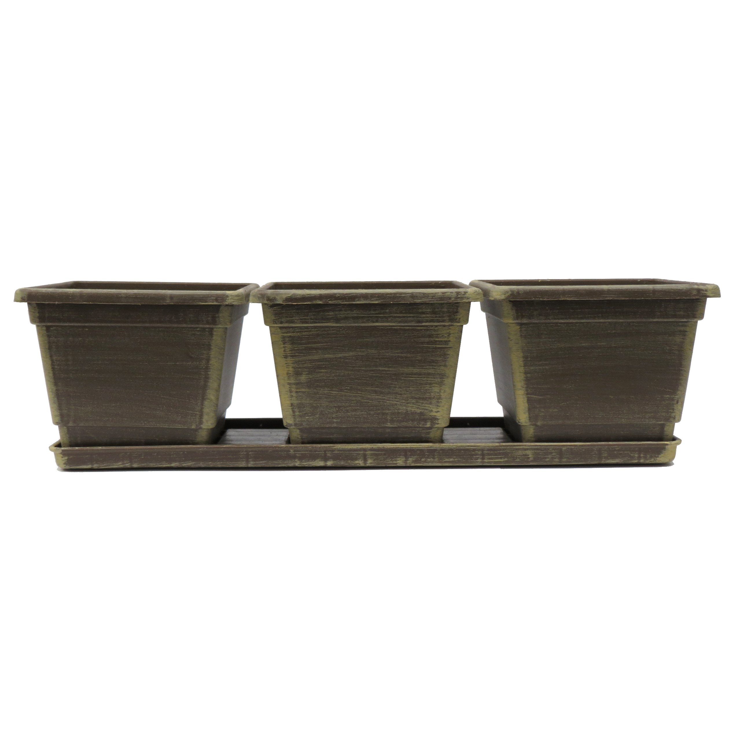 Grower Select 04.50 Randi-Lynn #2 3 Pack w/ Tray ACP Aged Cappuccino — Single Unit
