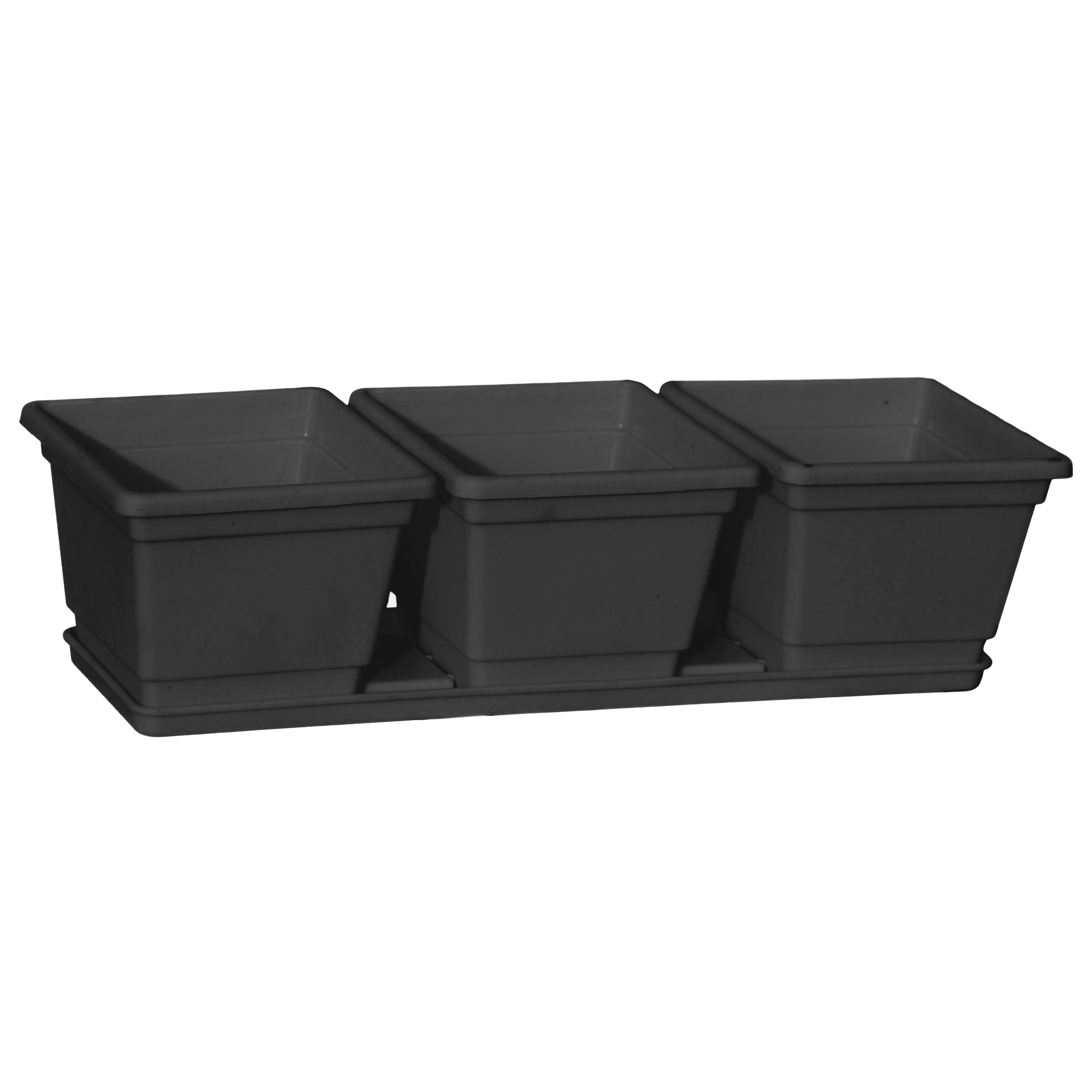 Grower Select 04.50 Randi-Lynn #2 3 Pack w/ Tray Black — Single Unit