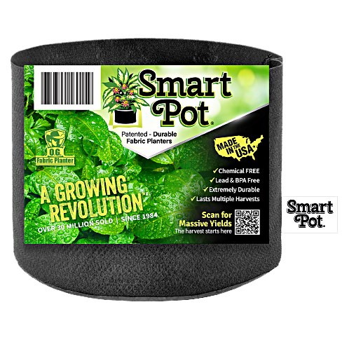 Smart Pot 2gal Black Bulk Box
