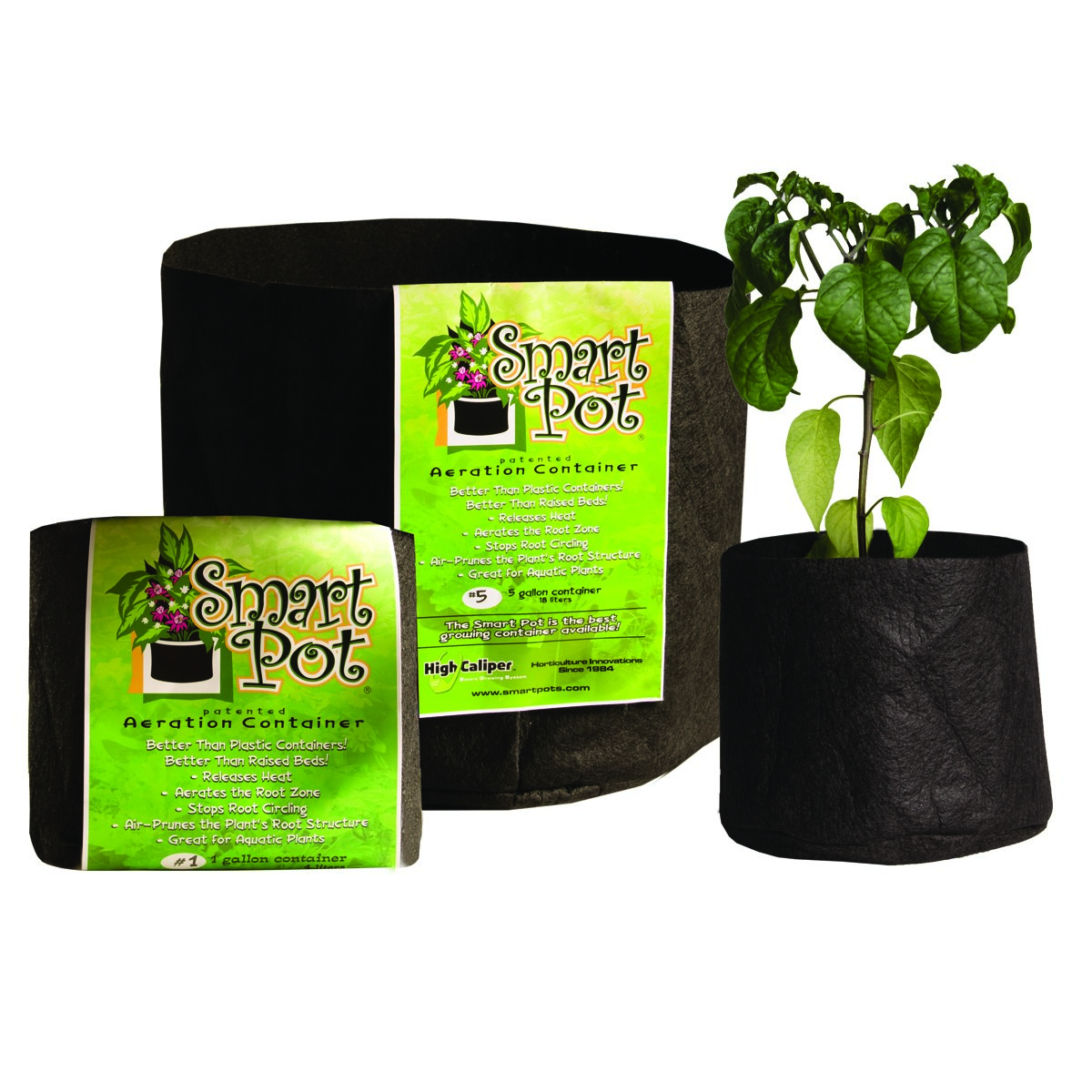 Smart Pot 300gal Black Bulk Box