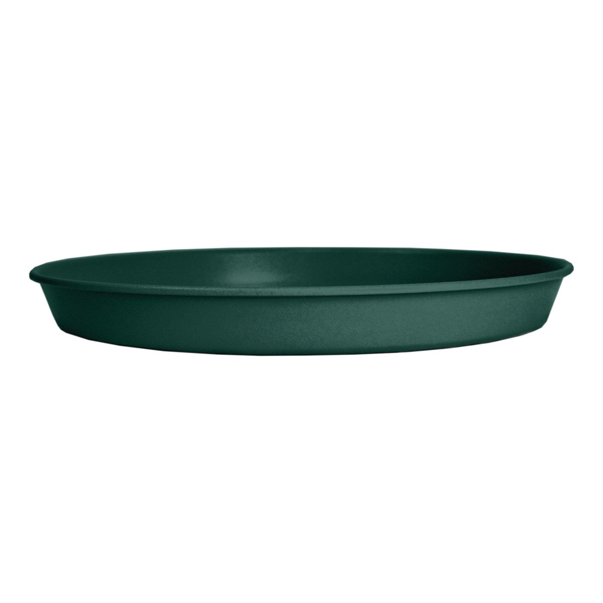 HC 12" Prima Saucer in Evergreen — priced per each; minimum 12; multiples of 12