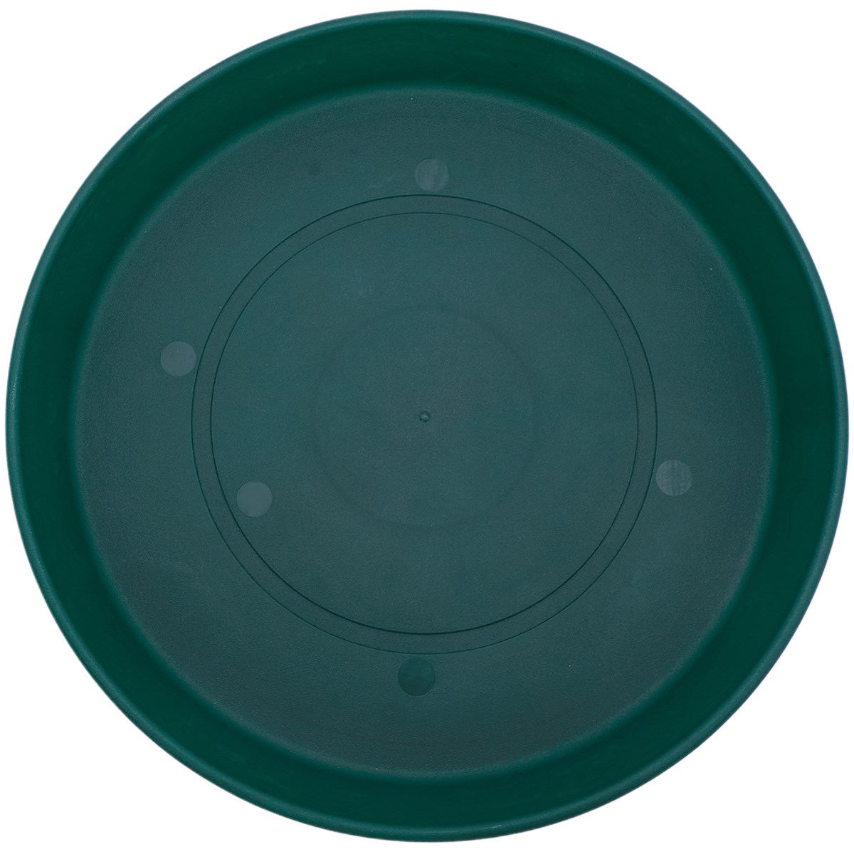 HC 14" Classic Prima Saucer Evergreen — priced per each; minimum 12; multiples of 12