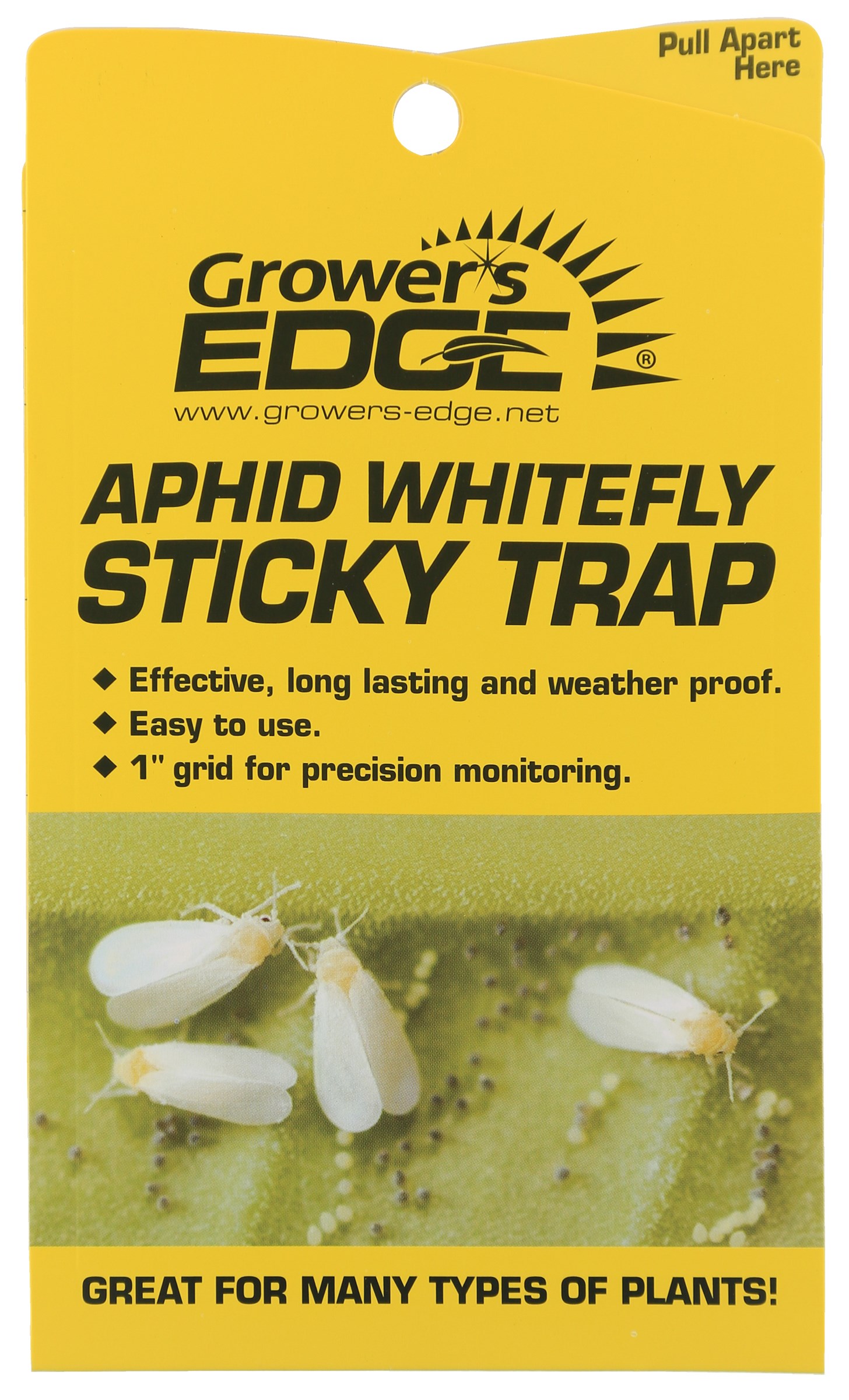 Grower's Edge 5pc Aphid Whitefly Sticky Trap — Single Unit