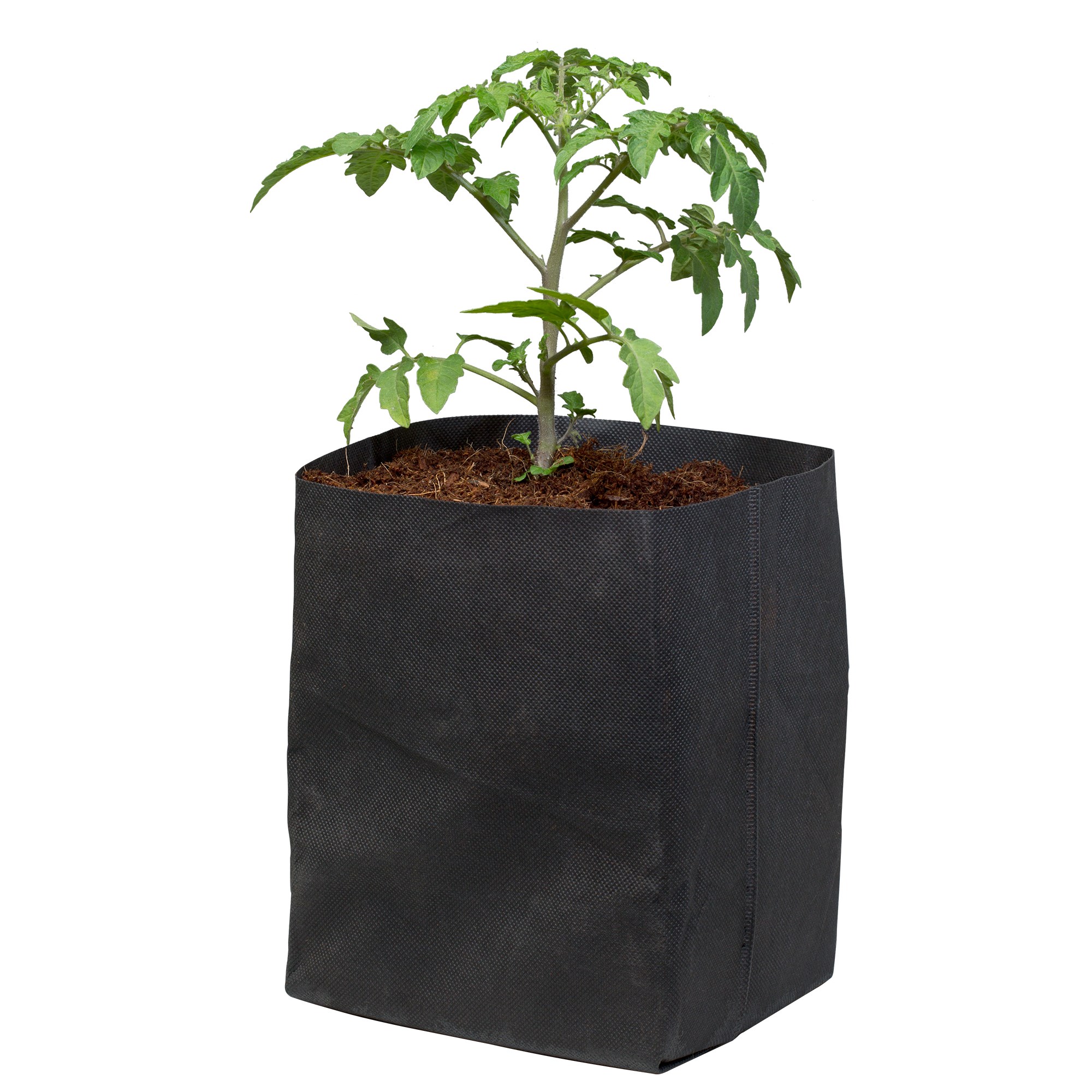 Botanicare 30ct CocoPro Bag #1 — Single Unit - Image 3