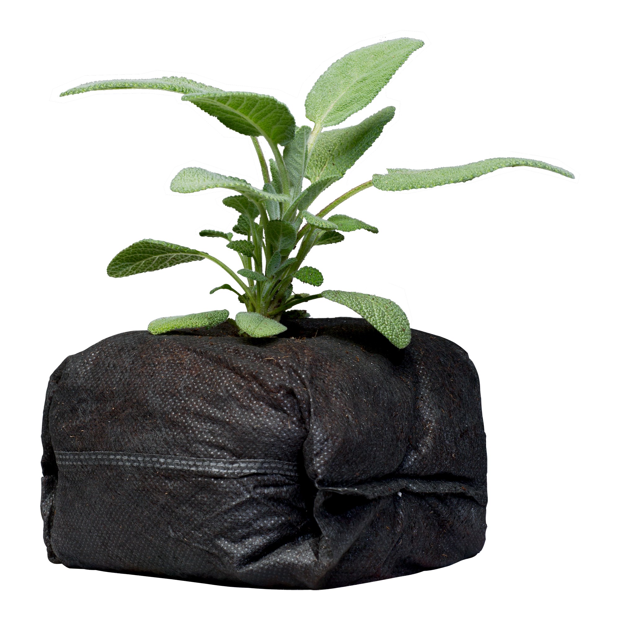 Botanicare 130ct CocoPro Cube 4x4x4 — Single Unit - Image 2