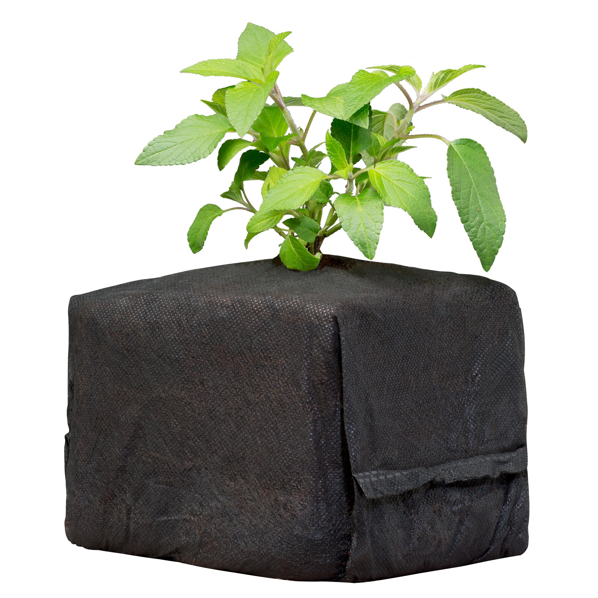 Botanicare 30ct CocoPro Cube 6x6x6 — Single Unit - Image 2