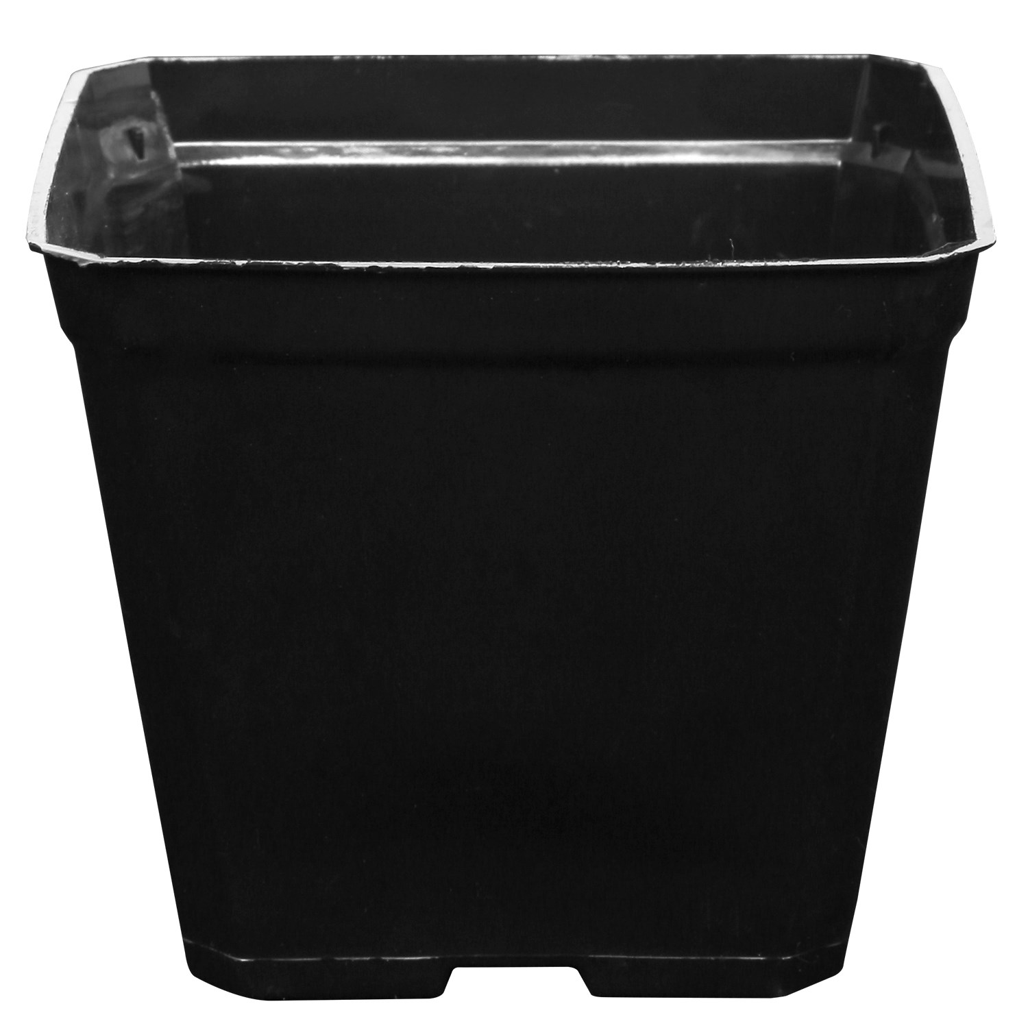 Gro Pro 3.5 in x 3.5 in x 3 in Plastic Pot Black — Single Unit - Image 2