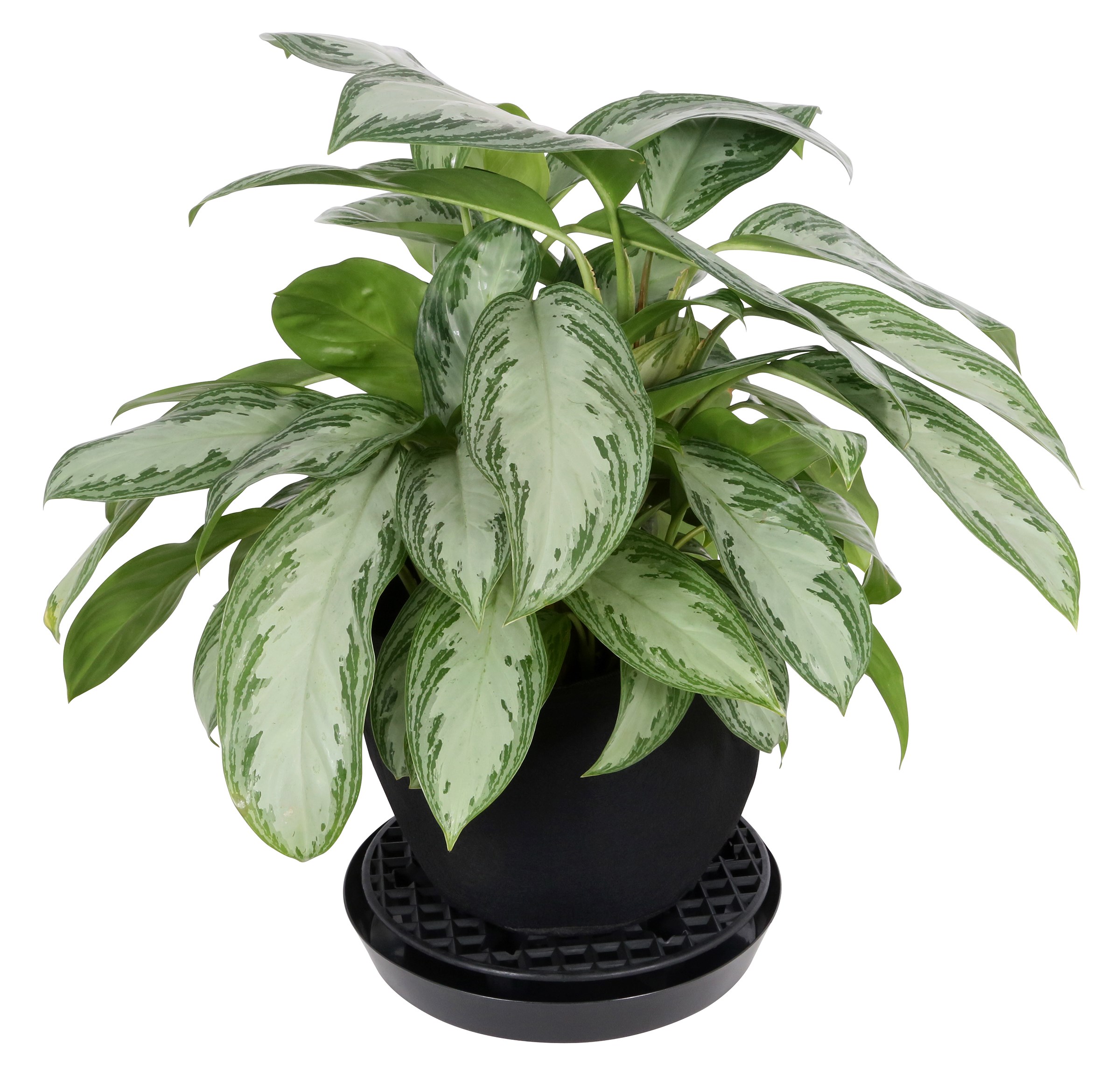 Gro Pro 13in NX Level Pot Elevator — Single Unit - Image 3