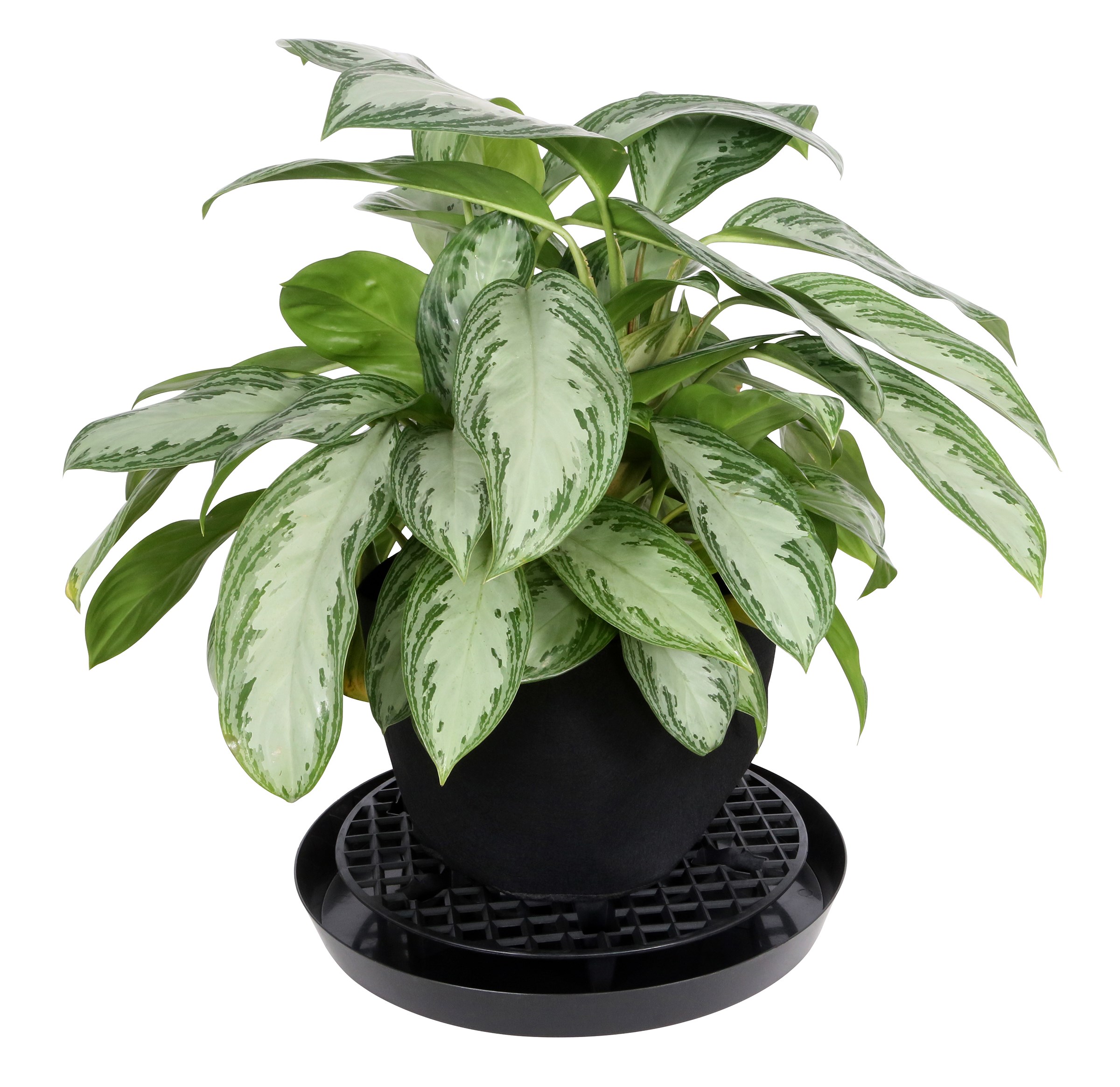 Gro Pro 16in NX Level Pot Elevator — Single Unit - Image 3