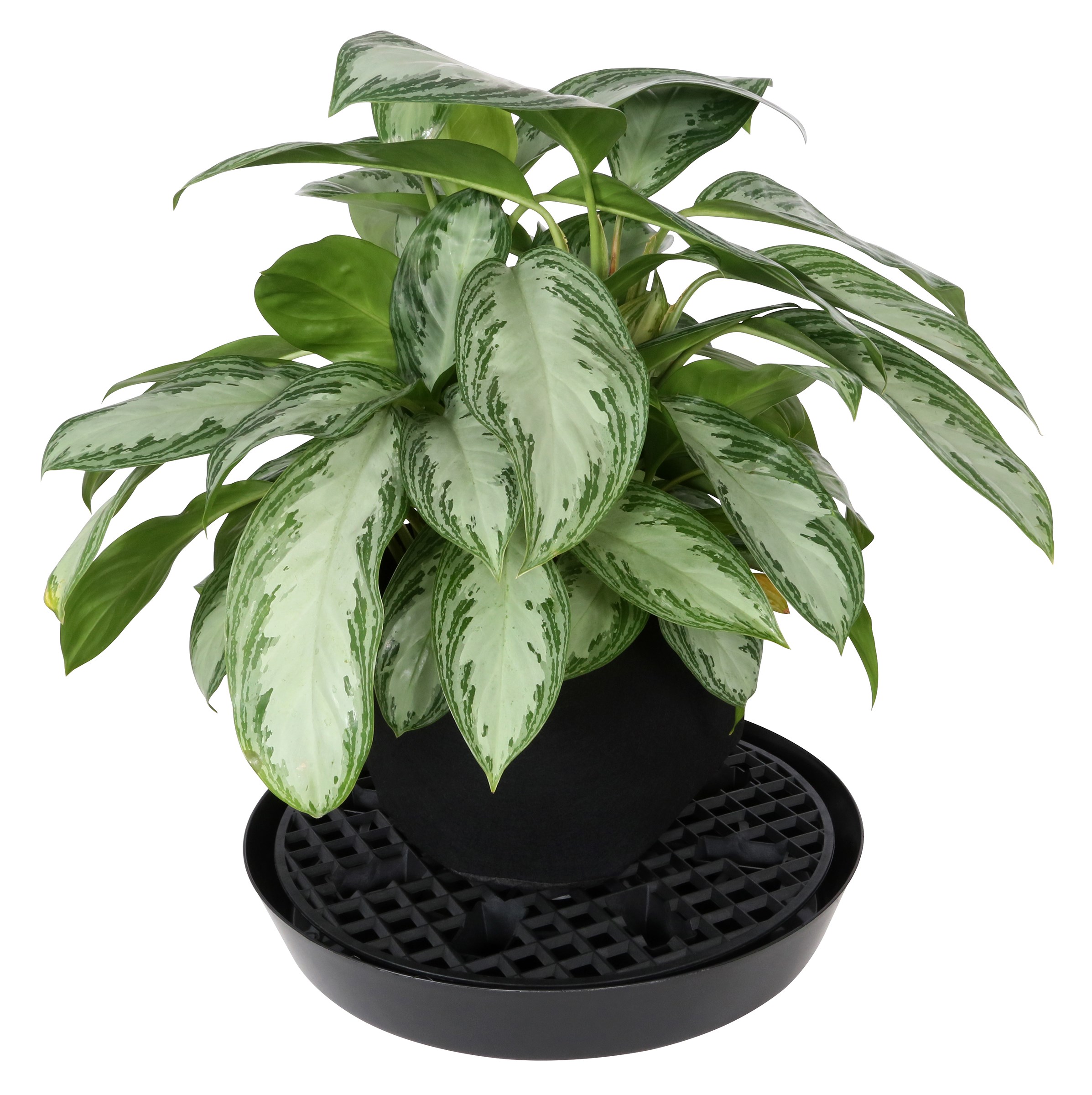 Gro Pro 18.5in NX Level Pot Elevator — Single Unit - Image 3