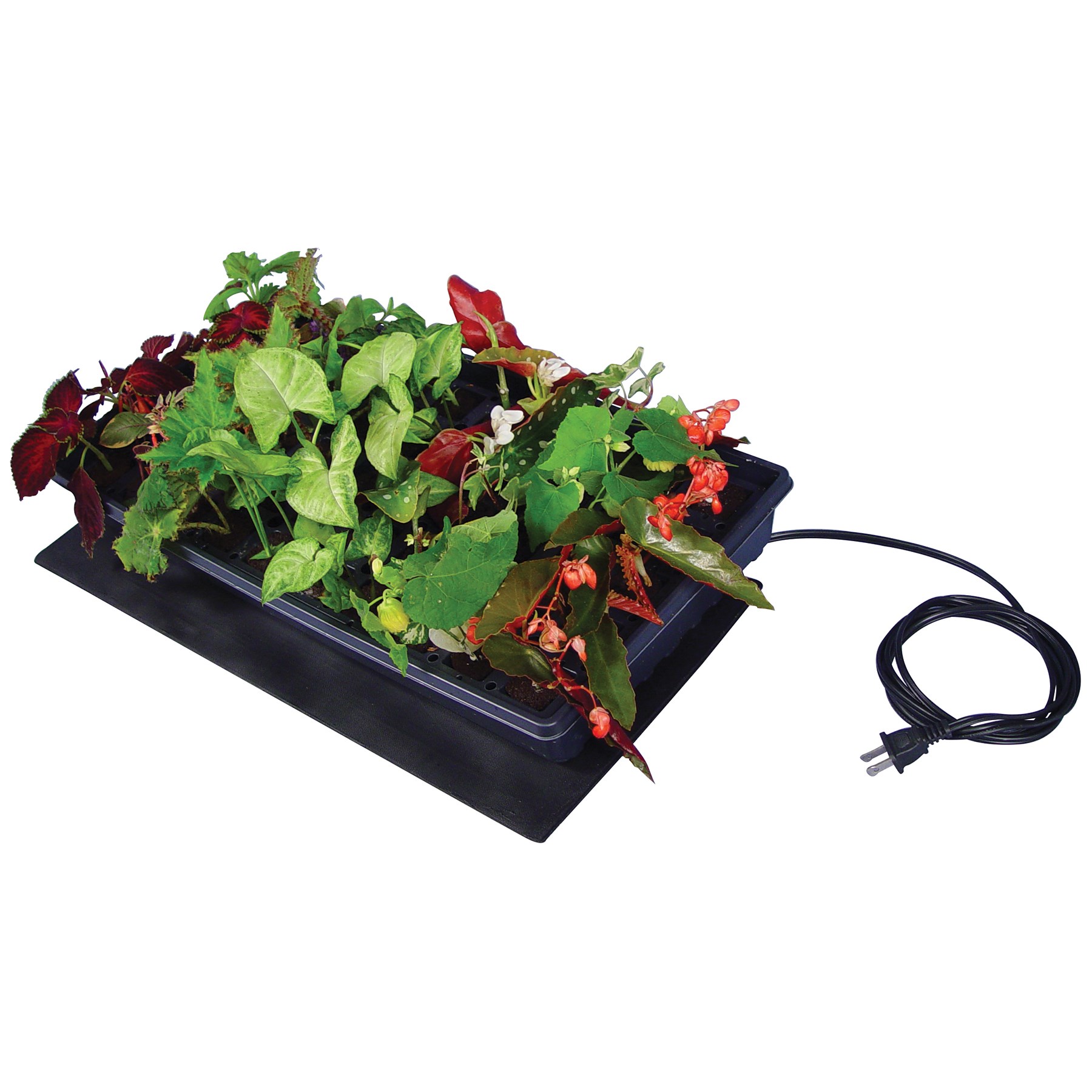 Super Sprouter 10in x 21in Seedling Heat Mat — Single Unit - Image 5