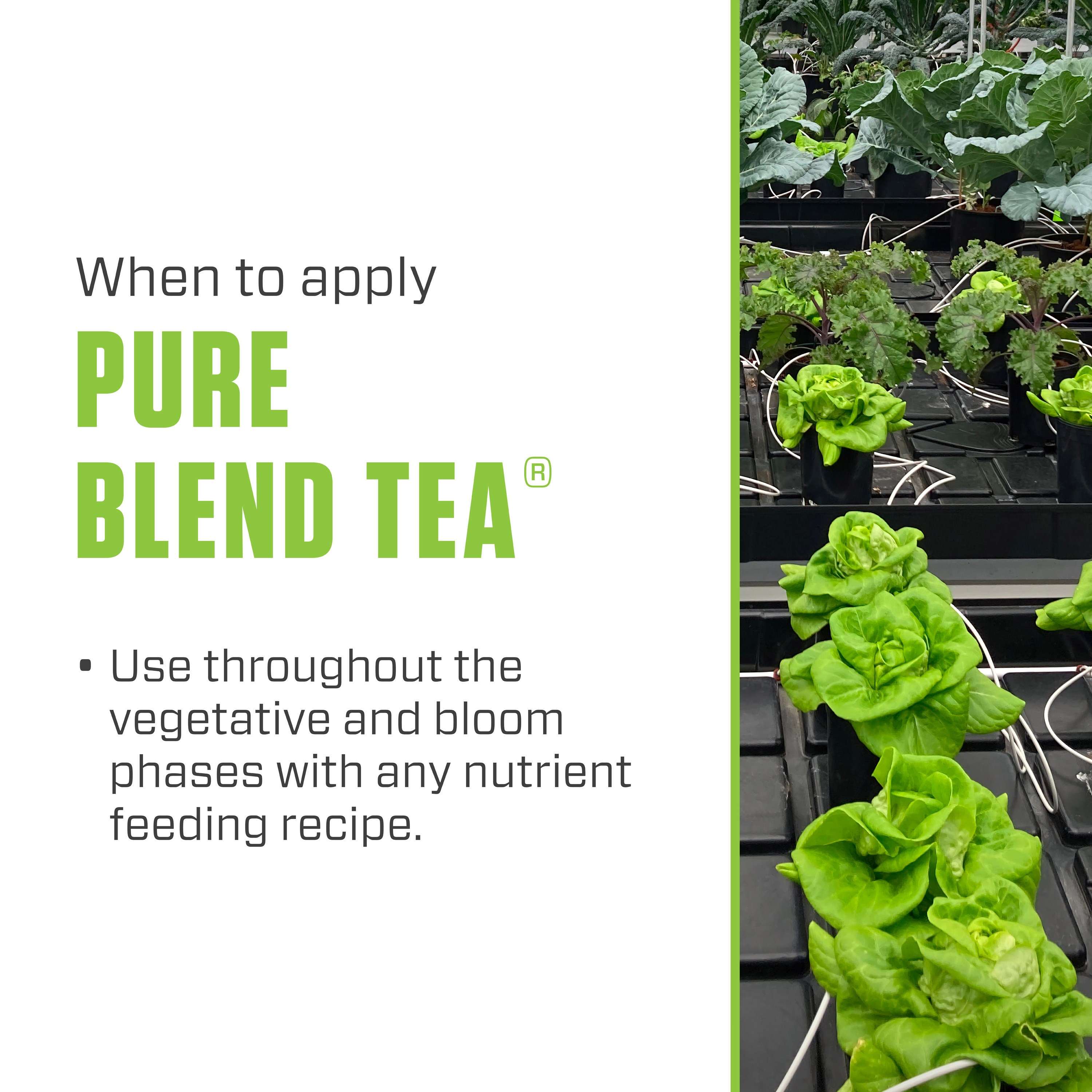 Botanicare 2.5gal Pure Blend Tea — Single Unit - Image 6