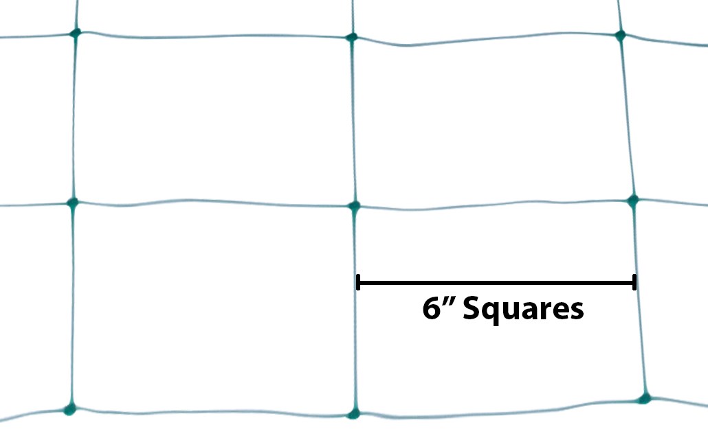 Grower's Edge 6.5ft x 3300ft Trellis Netting Bulk Roll Green — Single Unit - Image 6