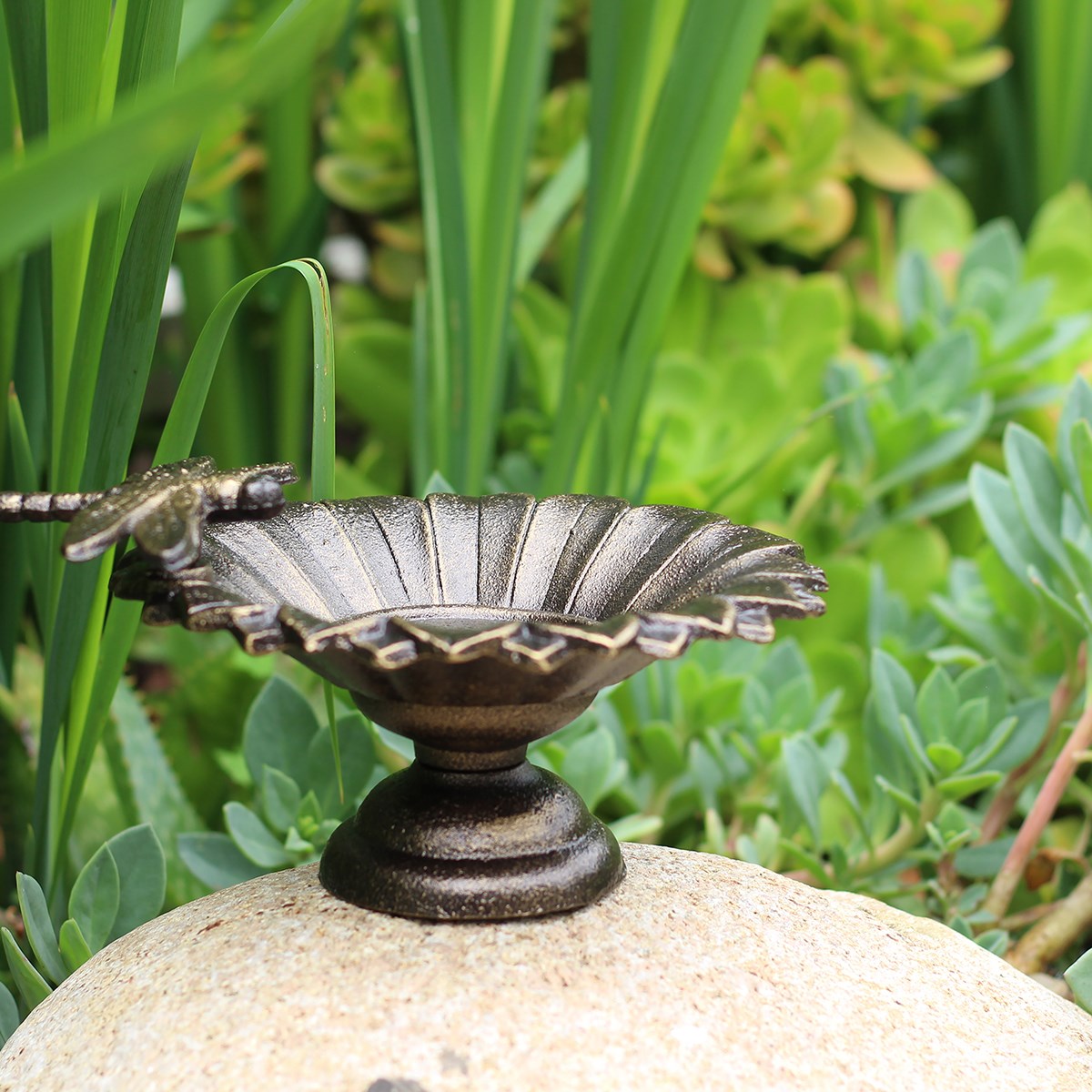 Innova Dragonfly Tabletop Birdbath Antique Brass