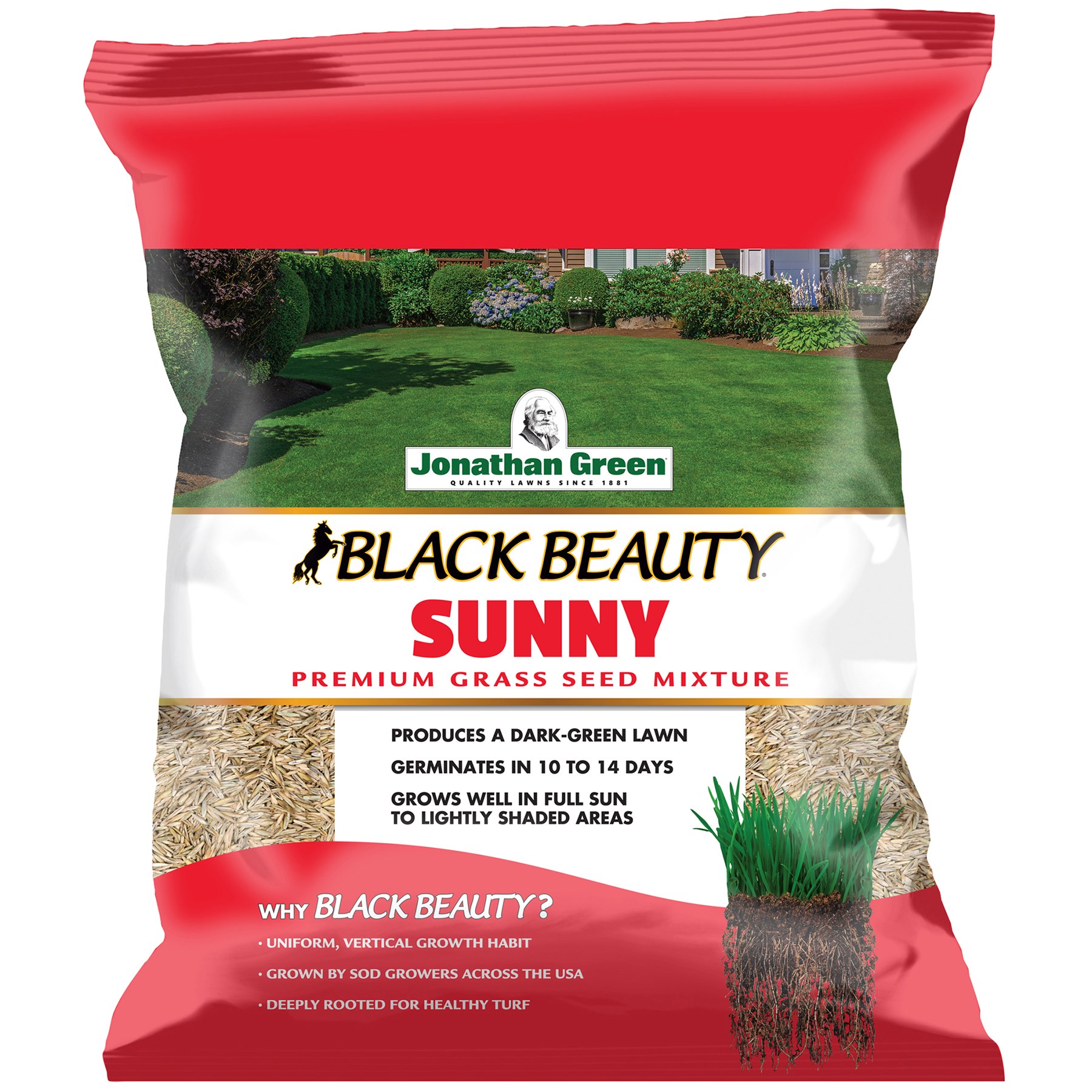 Jonathan Green 3# Black Beauty Sunny — priced per each; minimum 15; multiples of 15