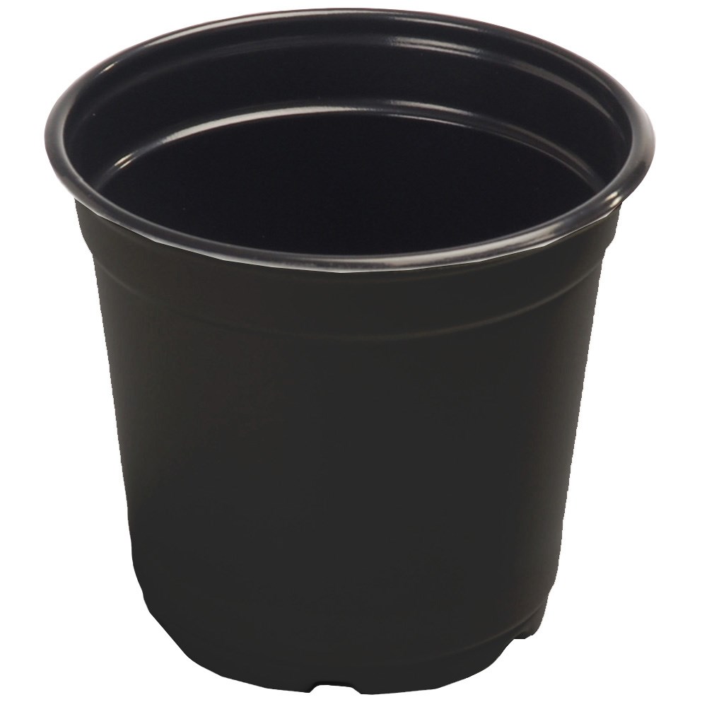 LND 04.33 STD RND MG COEX POT BLK — Case of 765