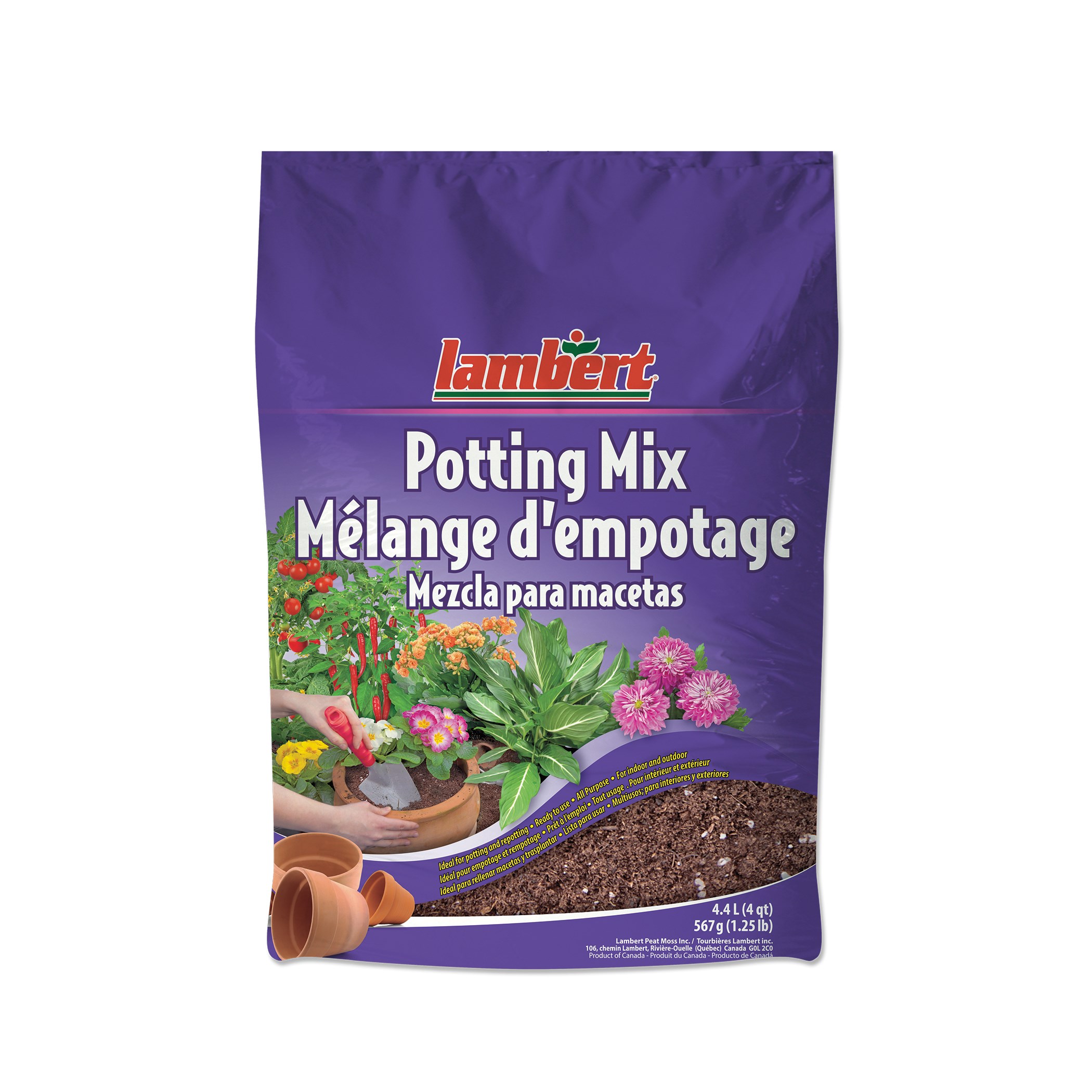 Lambert 4qt All Purpose Potting Mix — priced per each; minimum 12; multiples of 12