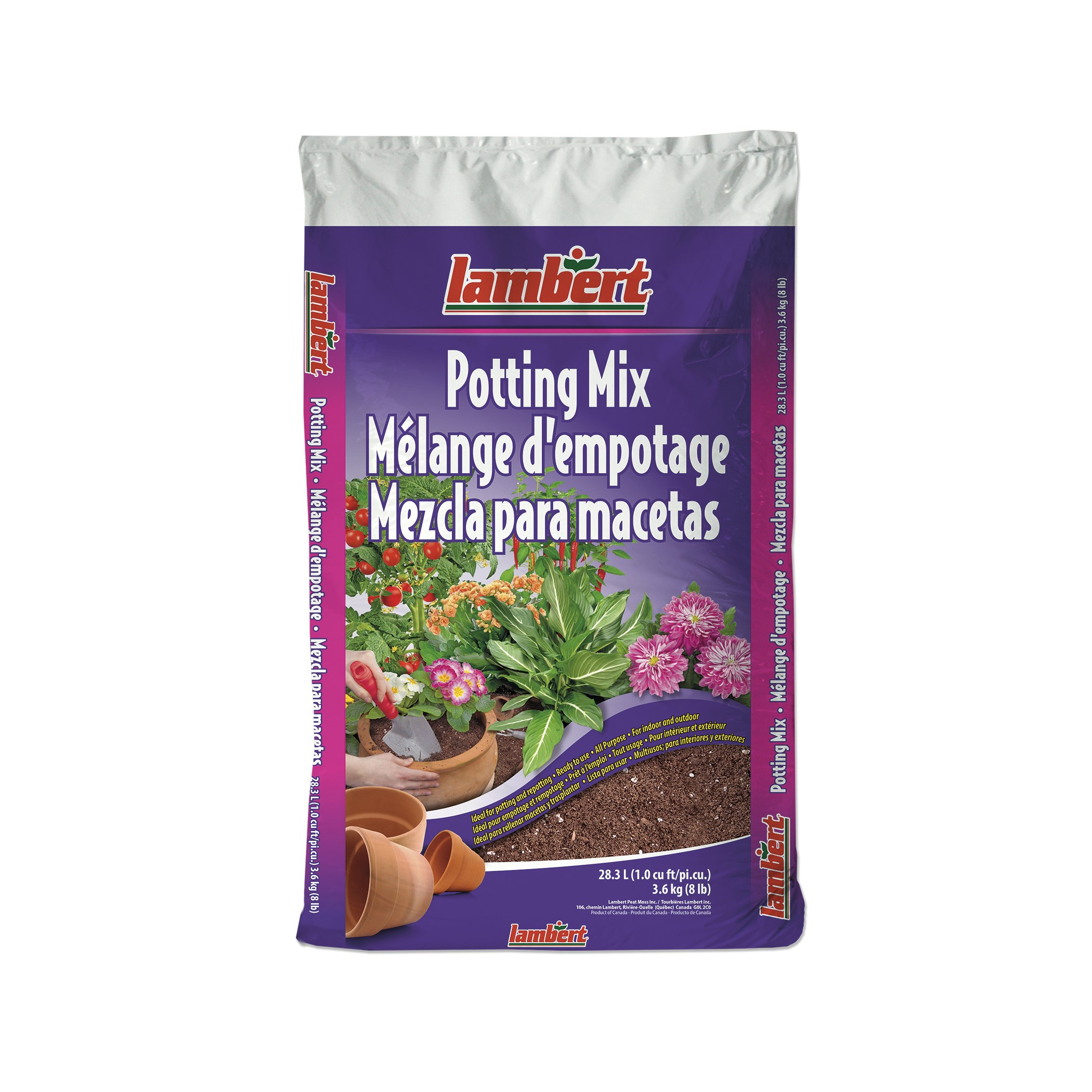 how to fertilize air plants Air Plant Fertilizer