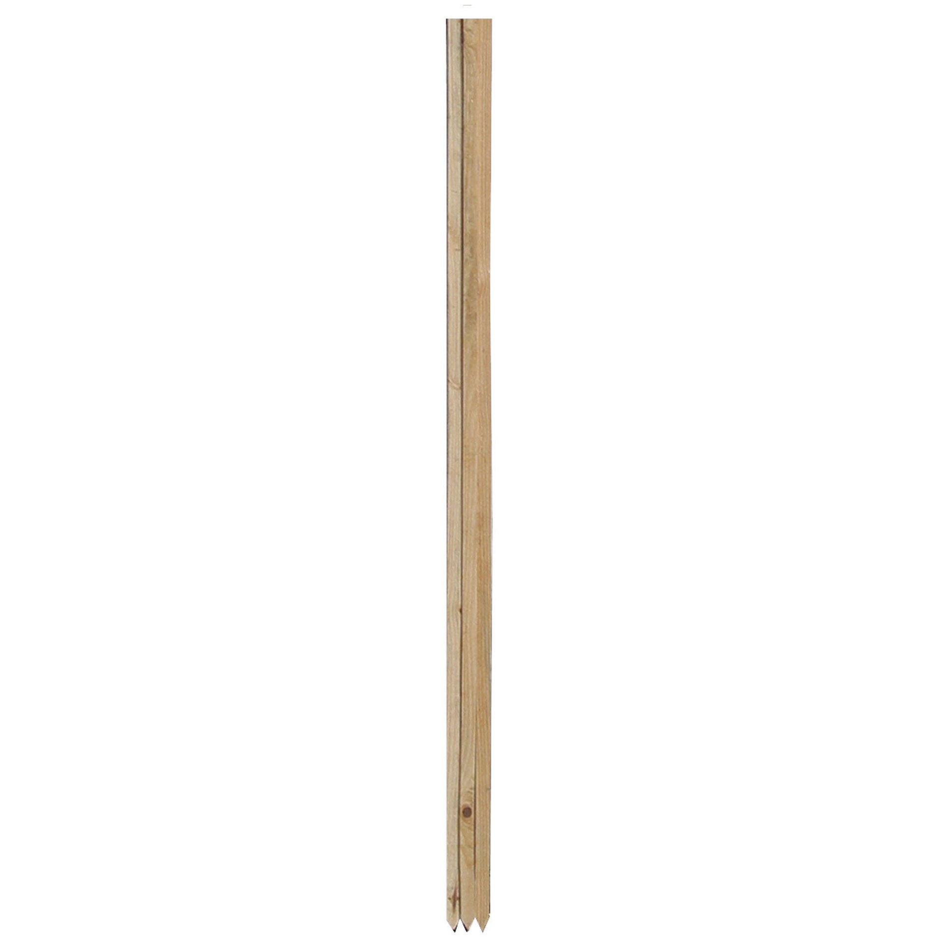 Gardener's Blue Ribbon Bulk 6'x1" Wood Stake