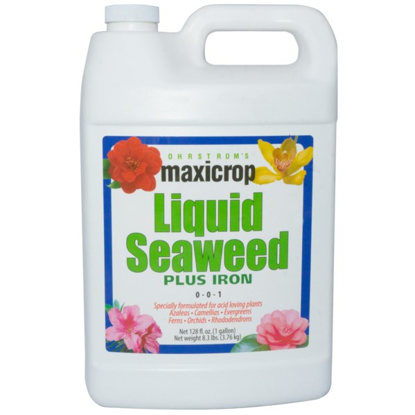 Maxicrop 1gal Plus Iron 2%