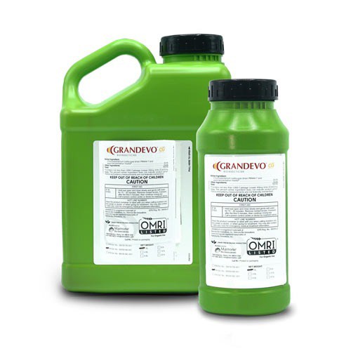 Grandevo WDG 6Lb OMRI ( Chromobacterium subtsugae strain PRAA4-1 ) Bioinsecticide (Grandevo PTO) — Single Unit