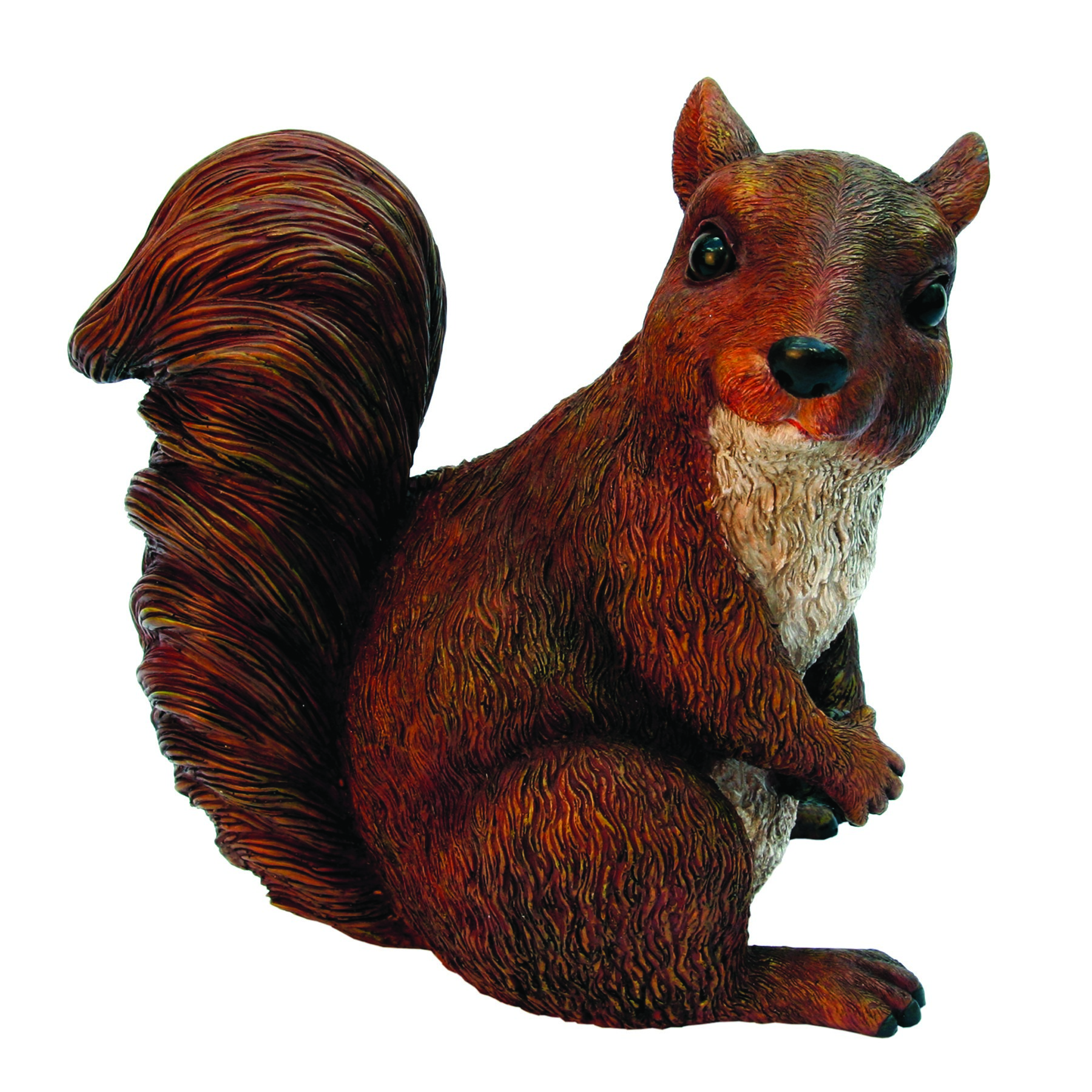MCarr Squirrel