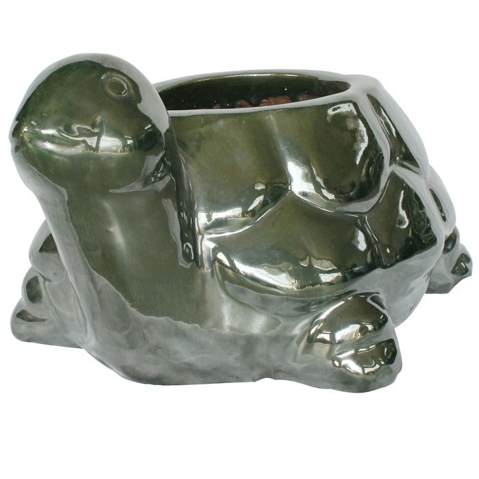 MCarr 13.4" Turtle Planter Falling Green