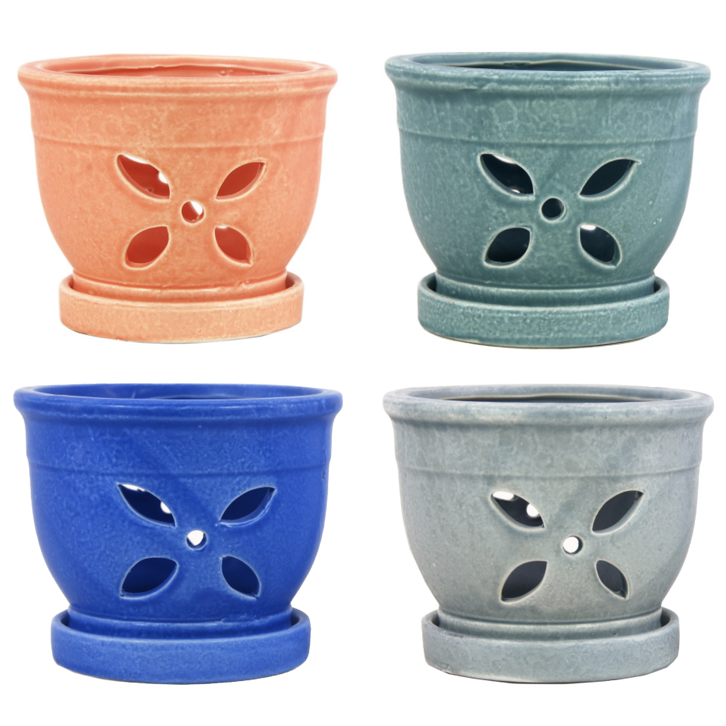 MCarr 12PC 5.5" 4 Petal Orchid Pot Mix Asst