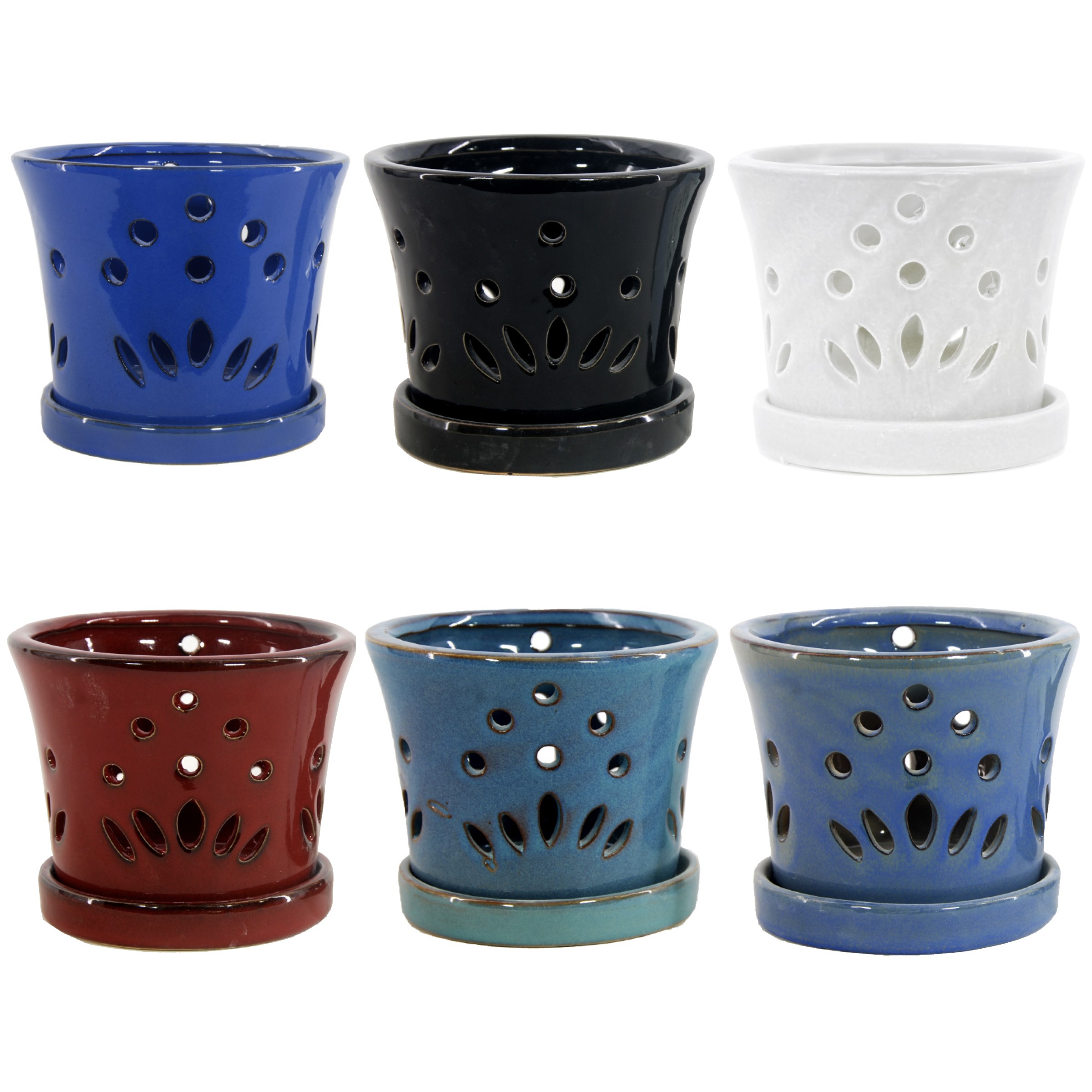 MCarr 12PC 5.1" Round Orchid Mixed Asst