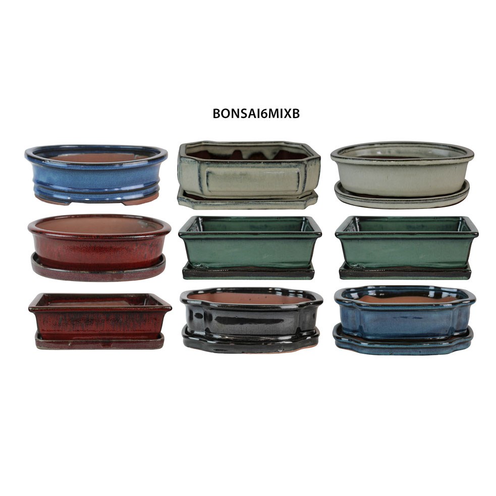 MCarr 18PC 6" Bonsai Planter Mixed Asst