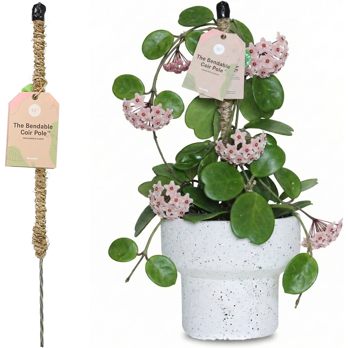 Mossify 16" Bendable Coir Pole