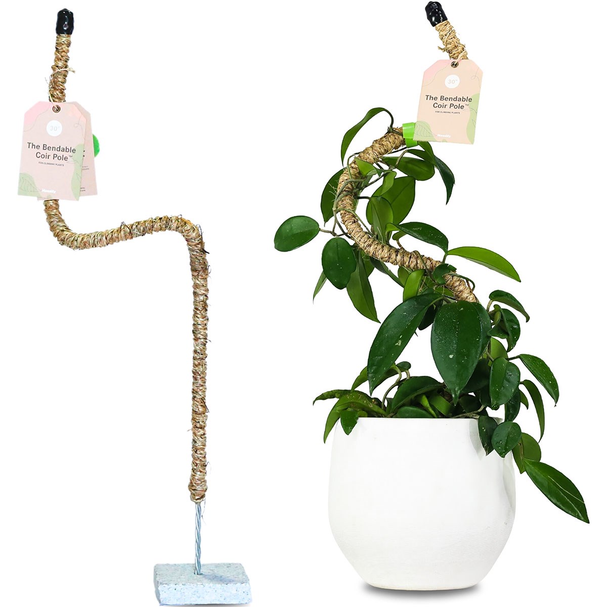 Mossify 30" Bendable Coir Pole