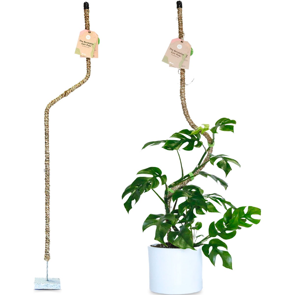 Mossify 42" Bendable Coir Pole