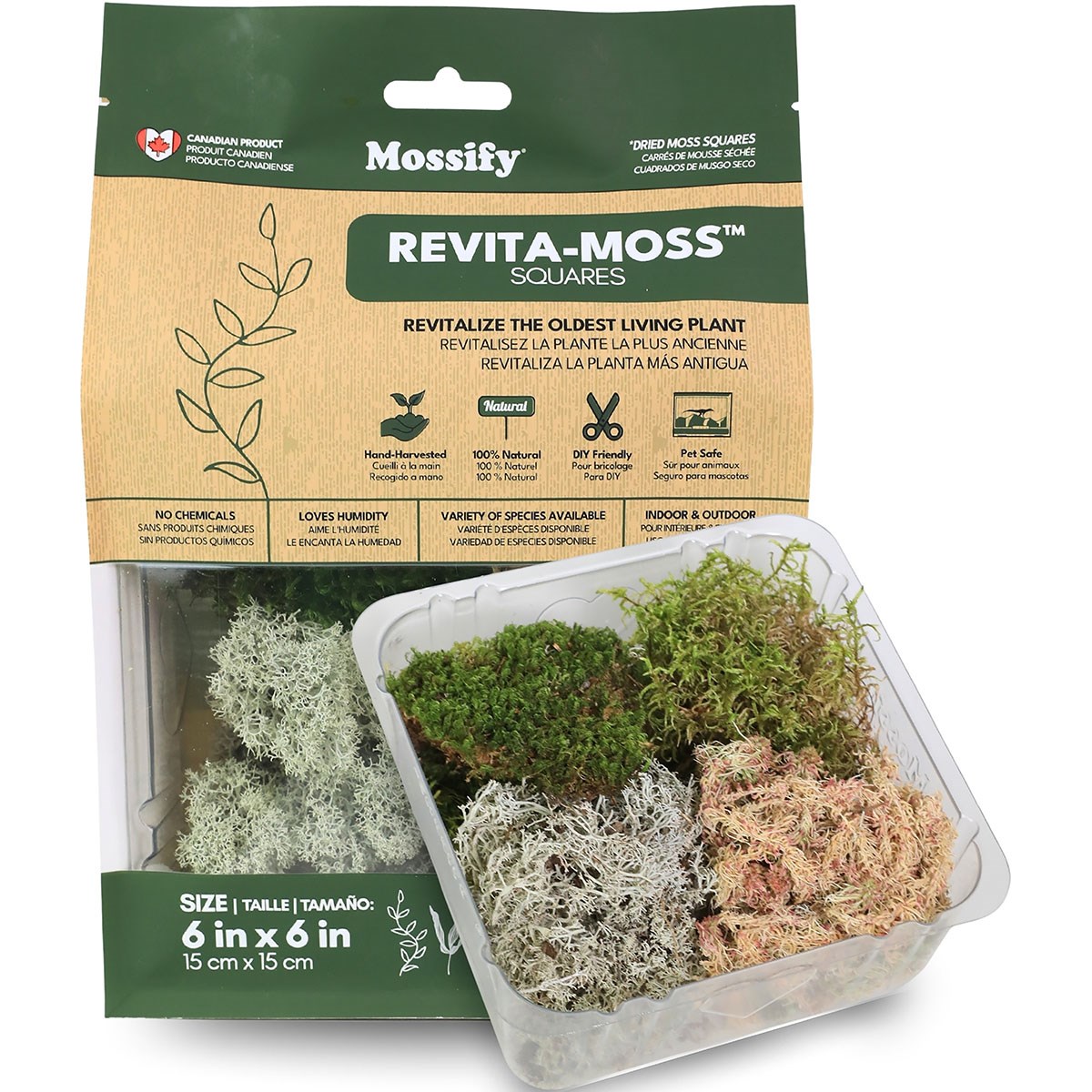 Mossify Revita-Moss Mixed Pack