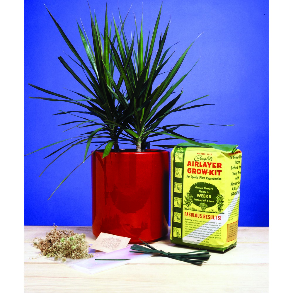 Mosser 4qt Airlayer Grow Kit — priced per each; minimum 12; multiples of 12