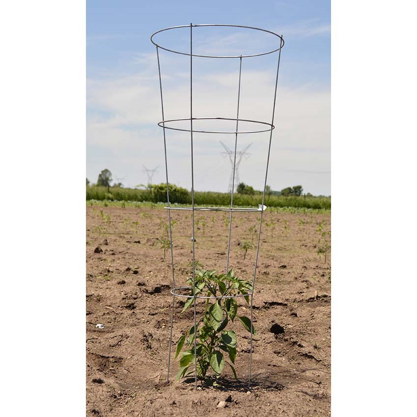 Midwest Wire Works 54" Heavy Duty Cage 4 Ring 4 Leg — priced per each; minimum 25; multiples of 25
