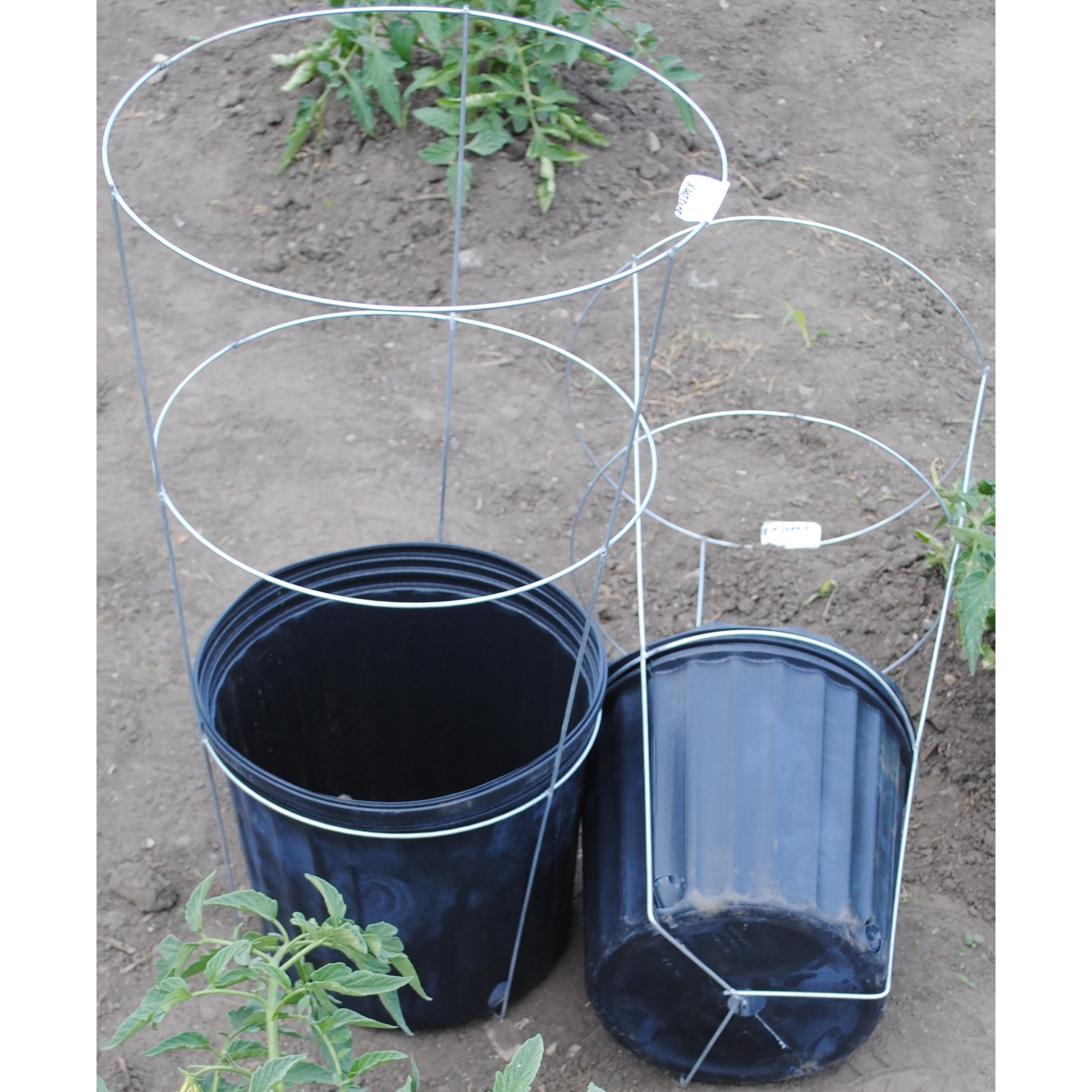 Midwest Wire Works 10" Cross Bottom Cage — priced per each; minimum 25; multiples of 25