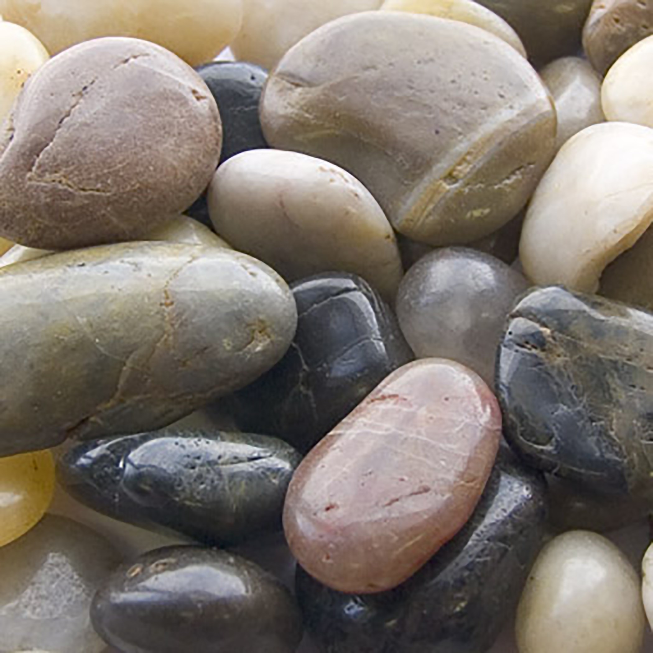 Panacea 5# Country River Rocks — priced per each; minimum 6; multiples of 6