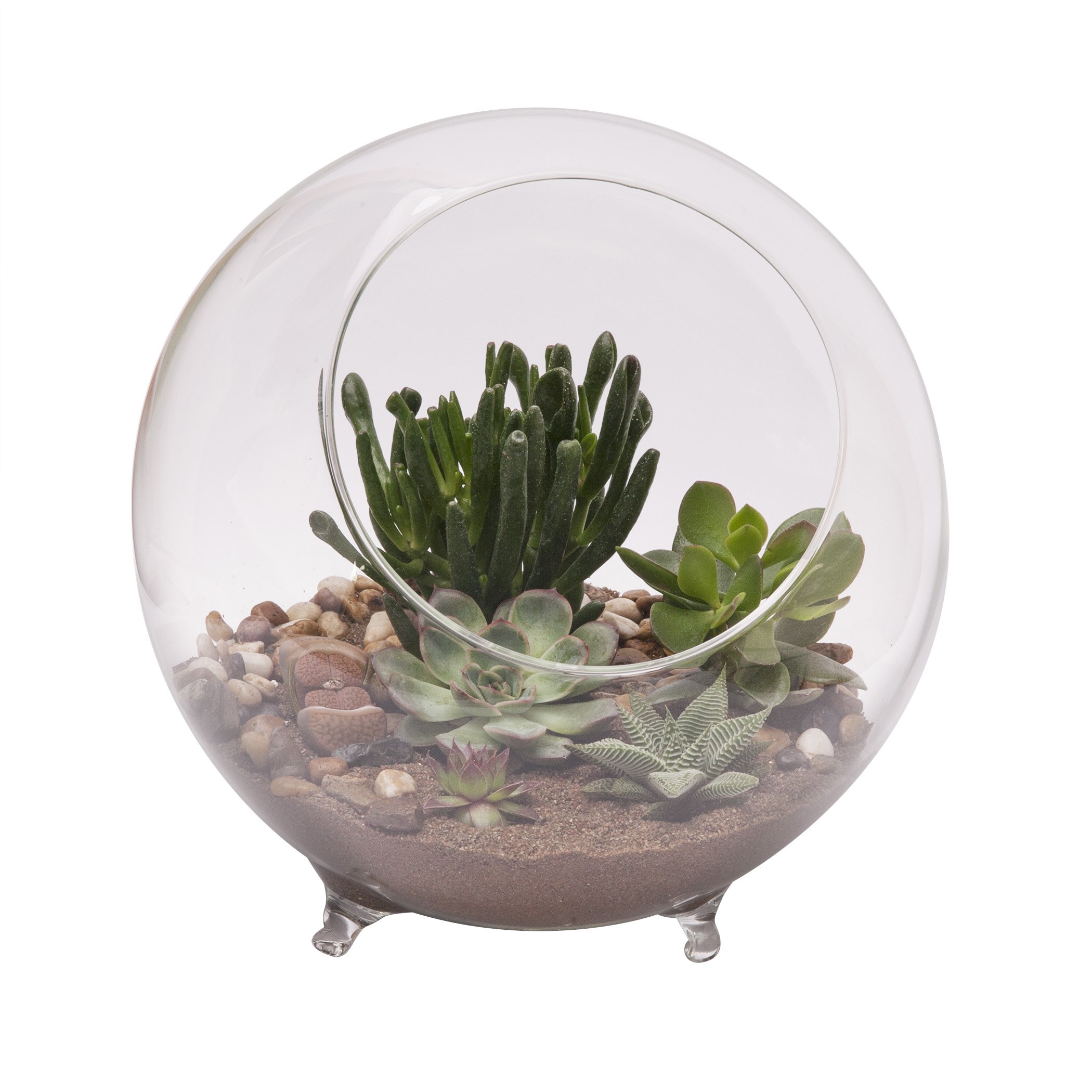 Panacea 10"D Large Glass Terrarium Sphere With Feet — priced per each; minimum 2; multiples of 2