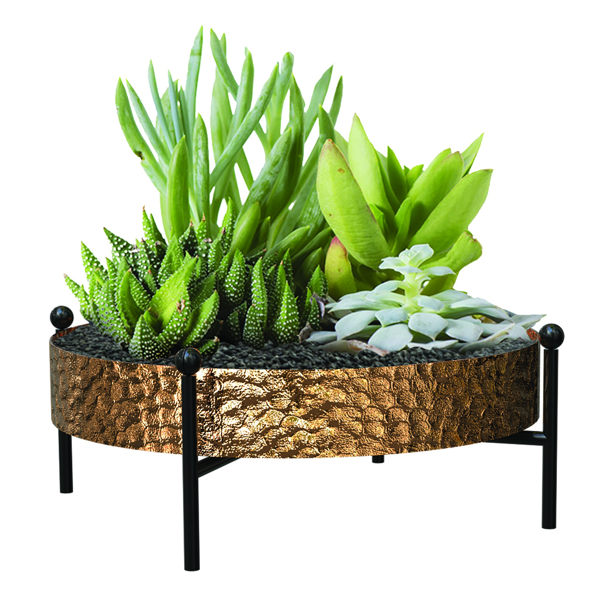 Panacea 10" Succulent Tray with Stand Hammered Copper Finsh — priced per each; minimum 6; multiples of 6