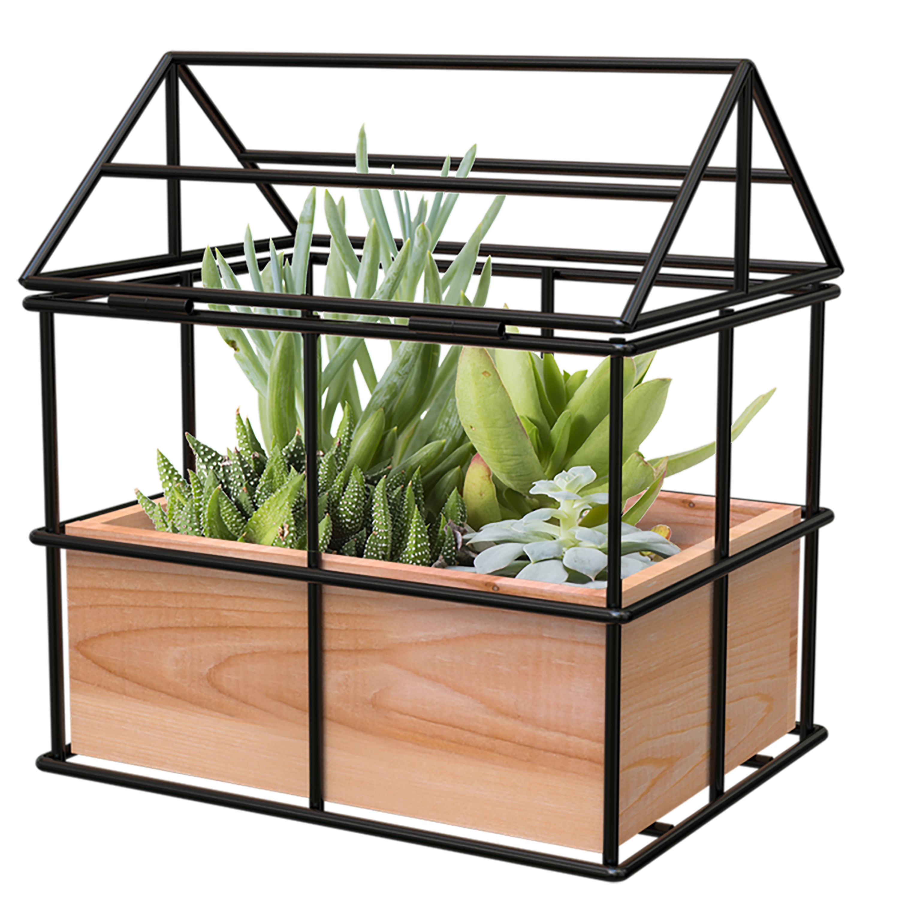 Panacea Wood/Wire No Glass Terrarium Planter