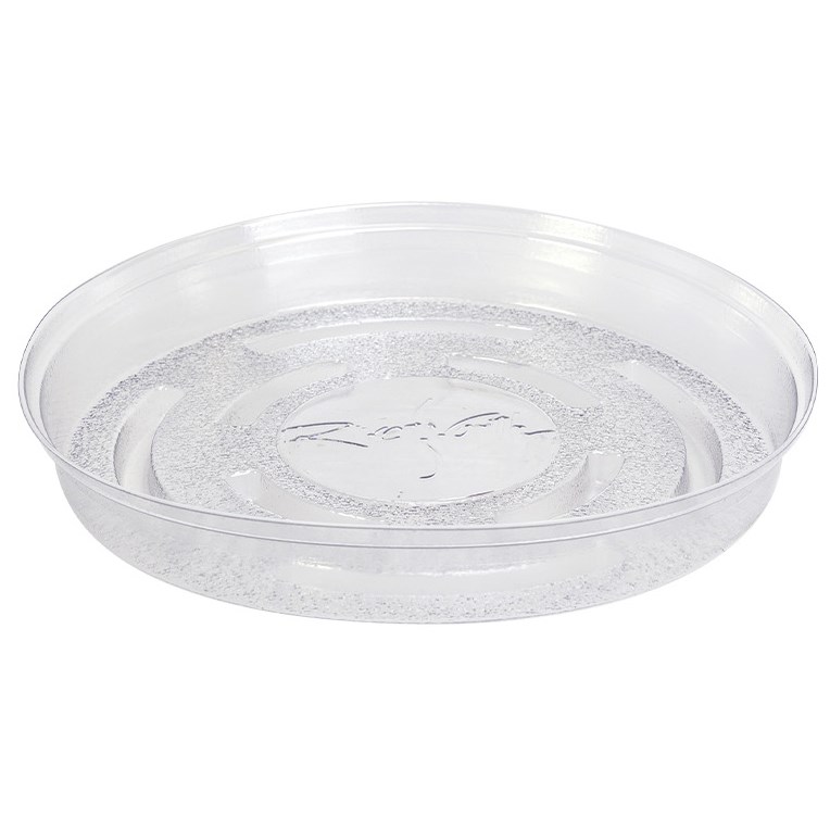 Panacea 6" D River North USA Saucer