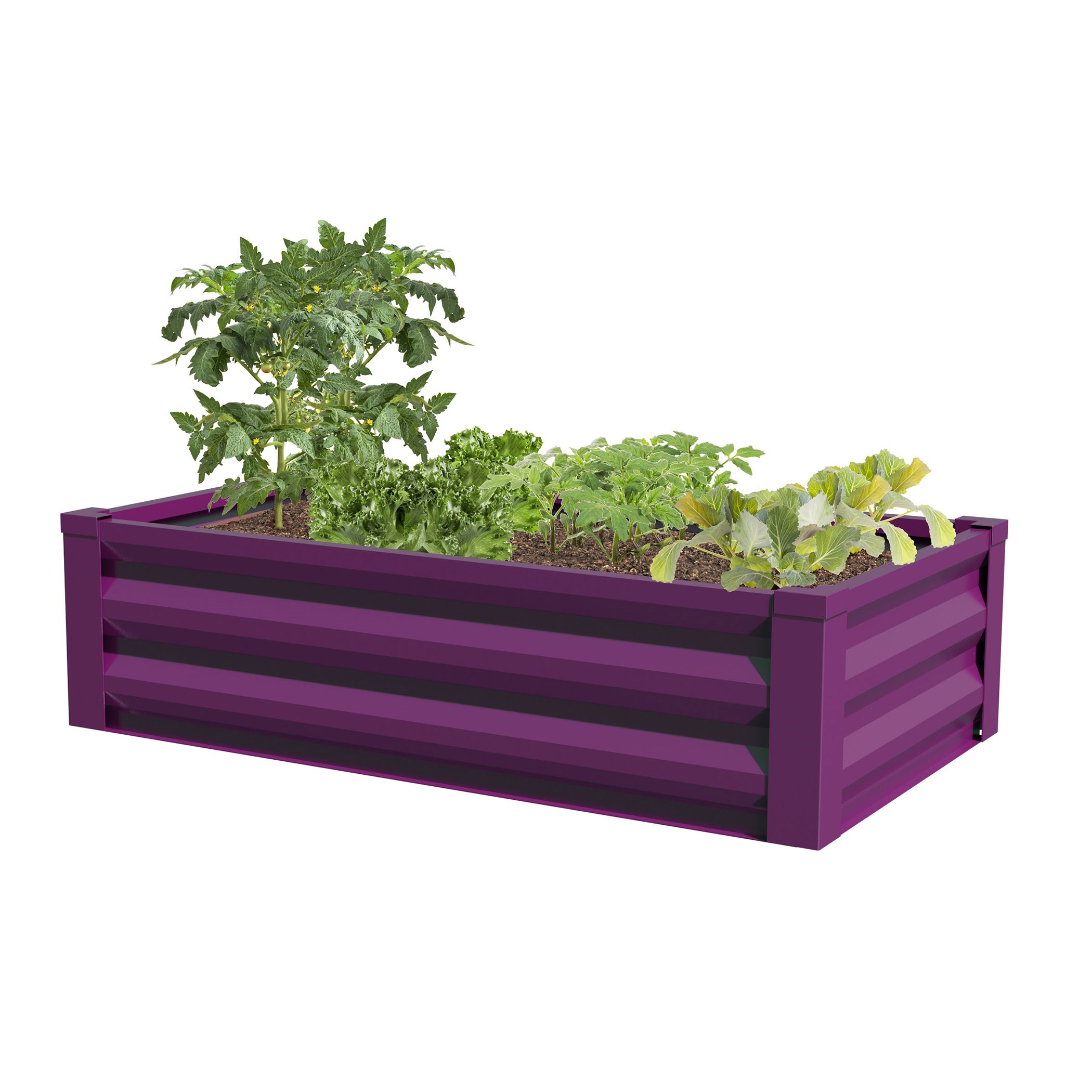 Panacea 47x26x12H Raised Ground Planter Eggplant