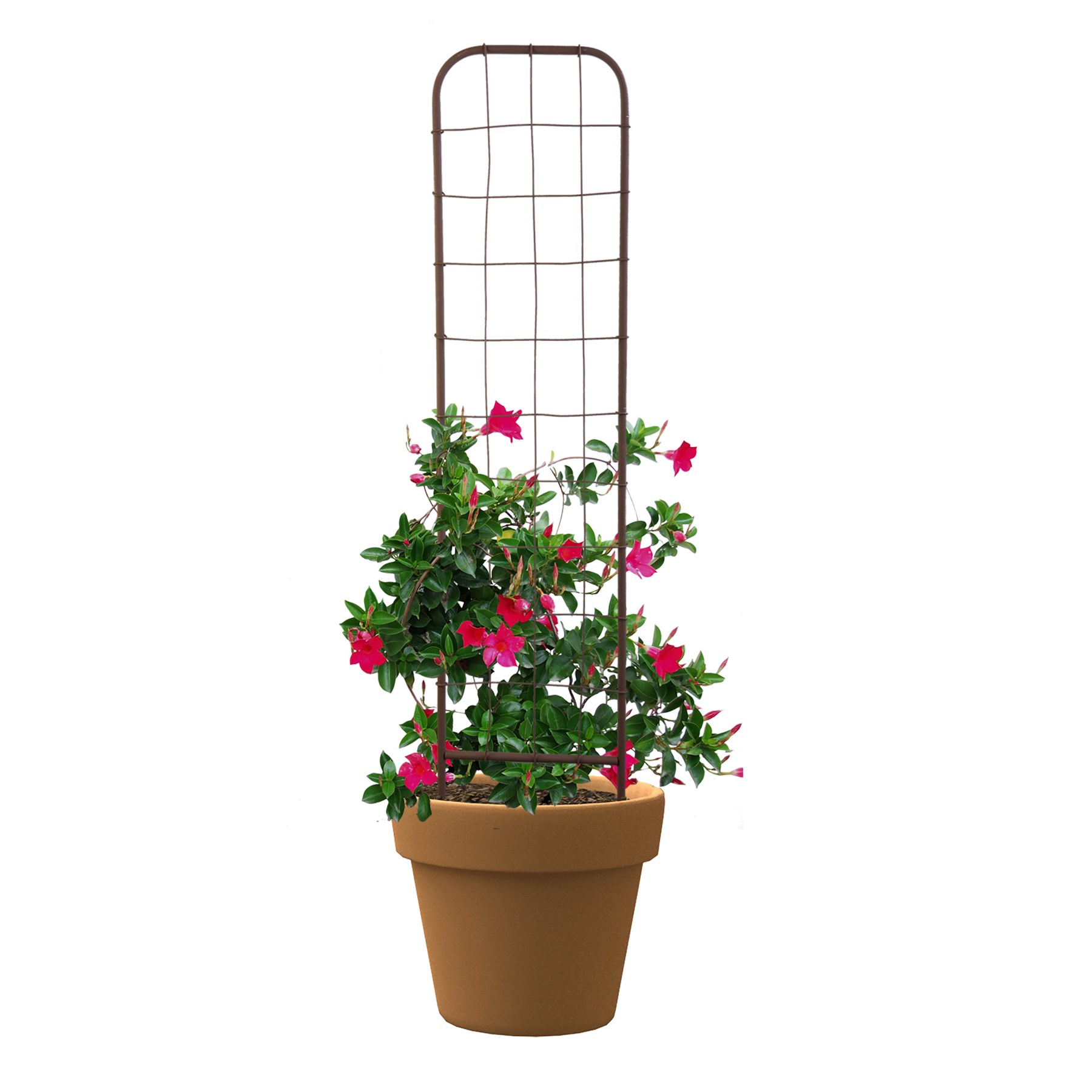Panacea 48" Rustic Woven Pot Trellis Rust — priced per each; minimum 5; multiples of 5