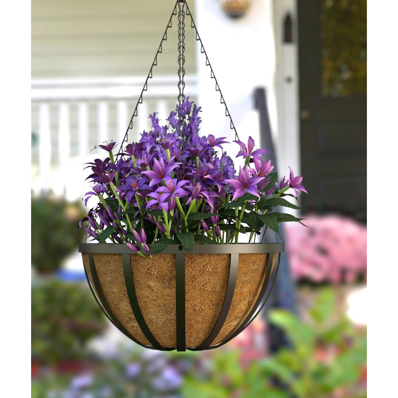 Panacea 14" English Hanging Basket W/ Coco Liner