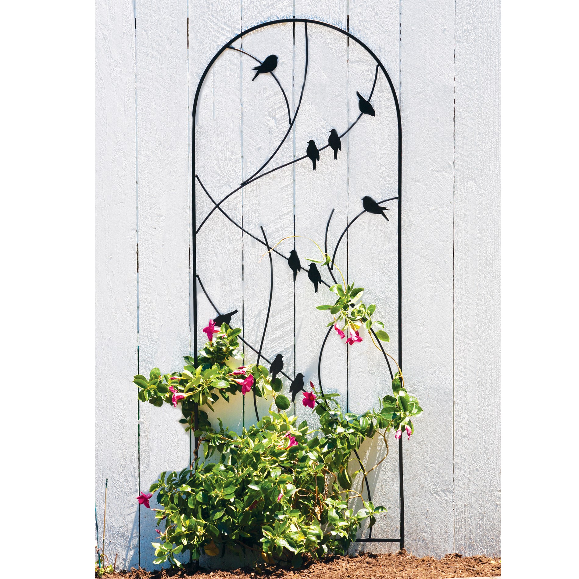 Panacea 72" Perched Bird Trellis Black — priced per each; minimum 5; multiples of 5